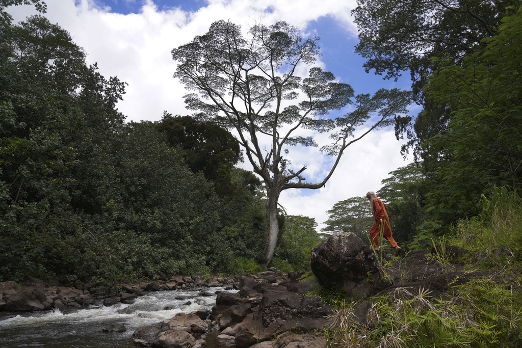 A man in an orange robes climbs rocks alongside a river in a tropical jungle.