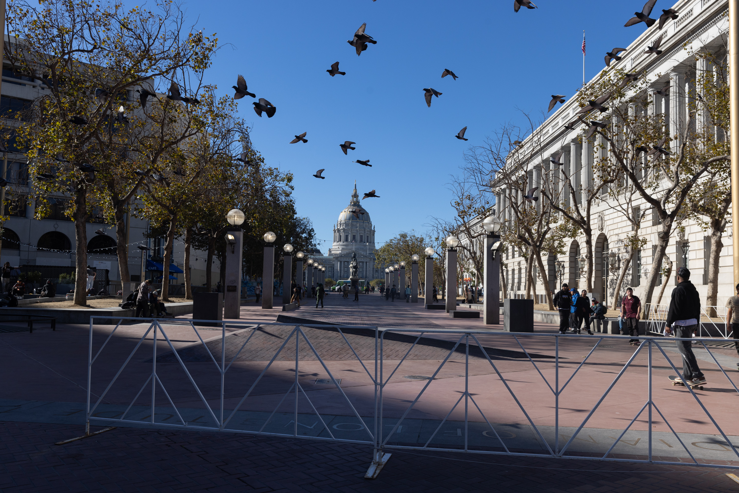 Pigeons fly over a mostly empty plaza as a skateboarder rides past.