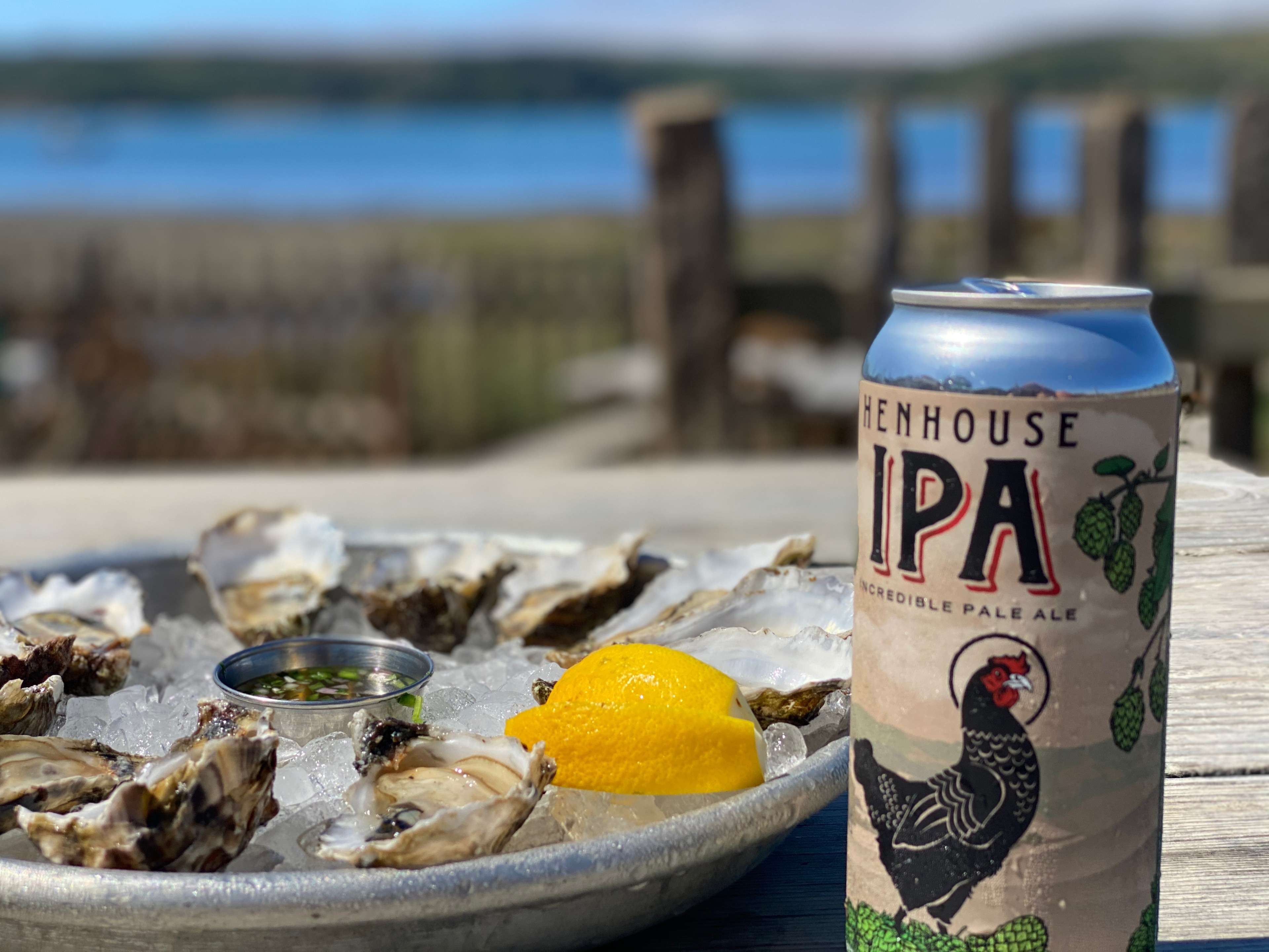 A plate of oysters sits next to a can of IPA. 