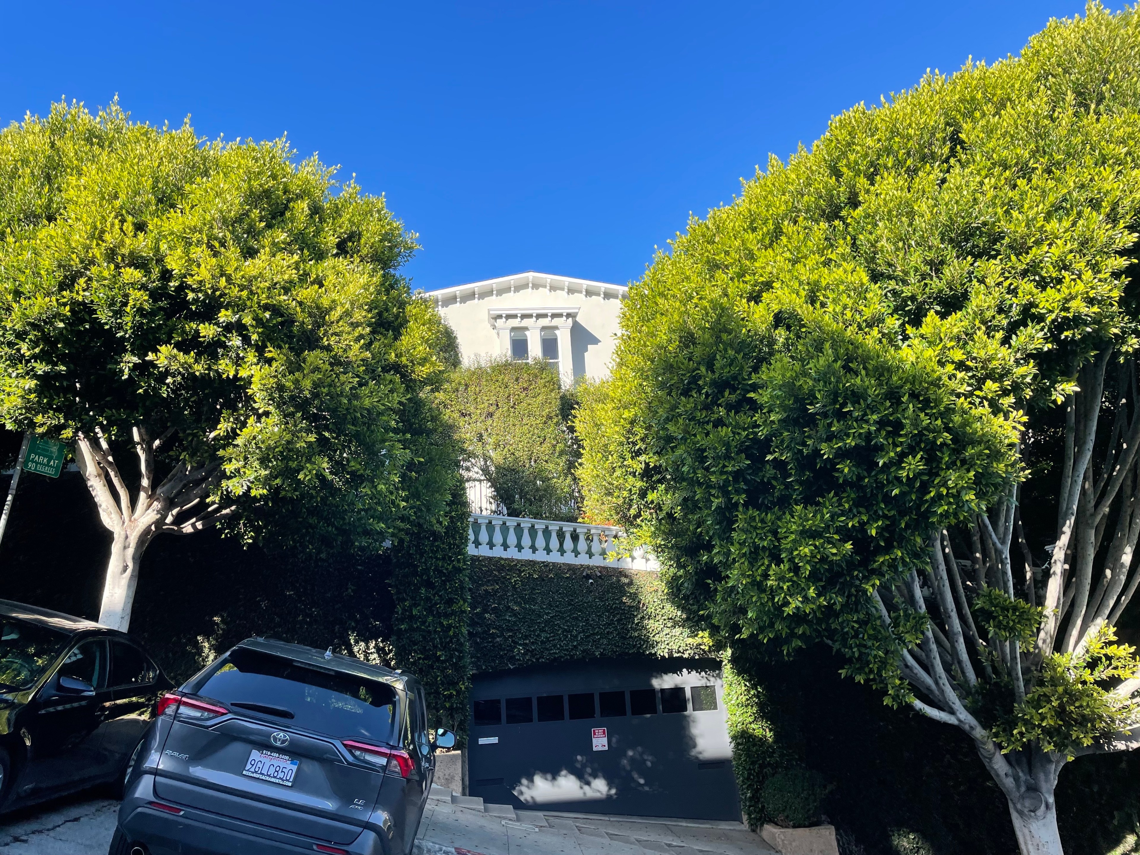 A San Francisco mansion is seen between rows of trees.