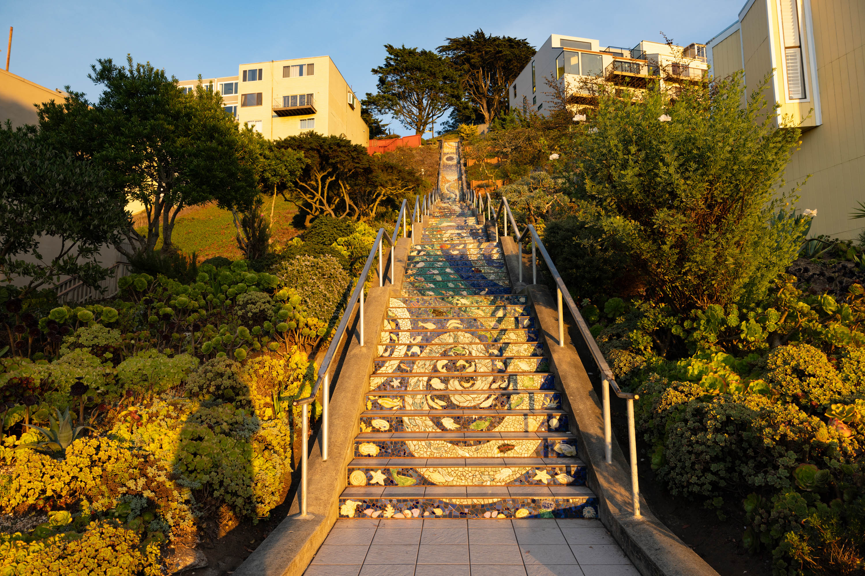 The sun hits a long tiled staircase with lush vegetation on either side.