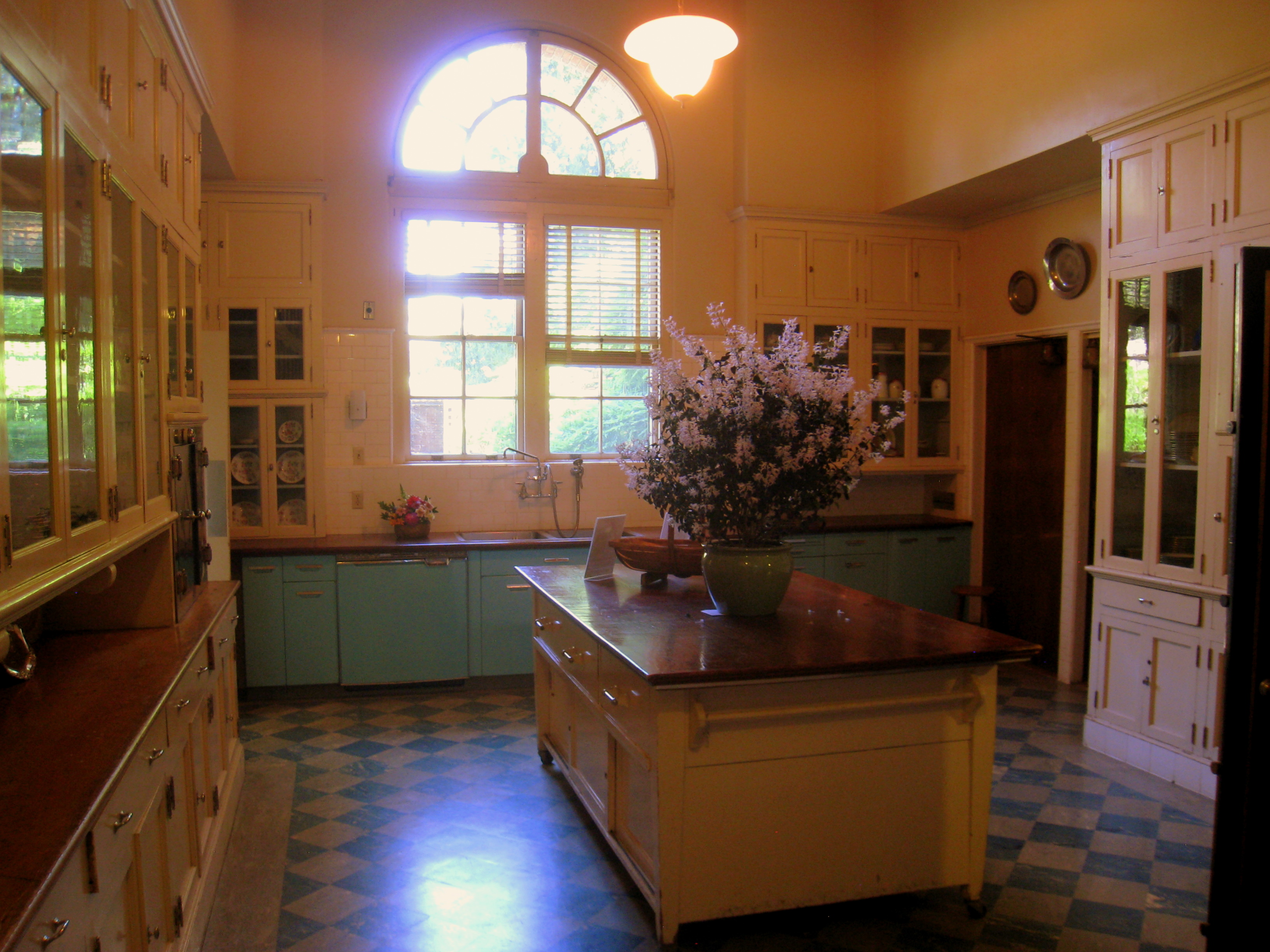 A modest kitchen era from the late 1880s with a large plant on the center island.