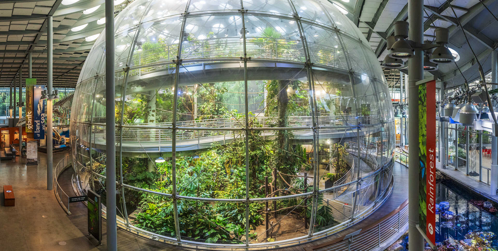 A big clear glass dome contains plants and metal walkways.