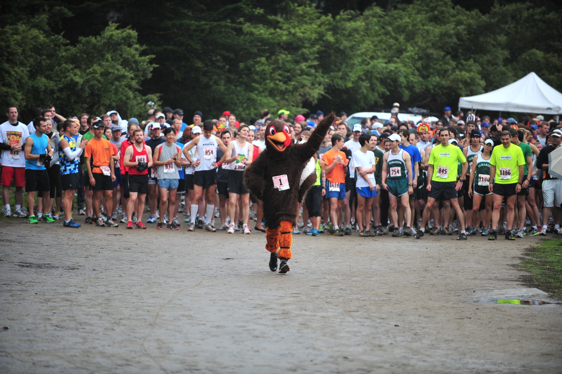 A turkey mascot leads a pack of runners on a Thanksgiving run outdoors.