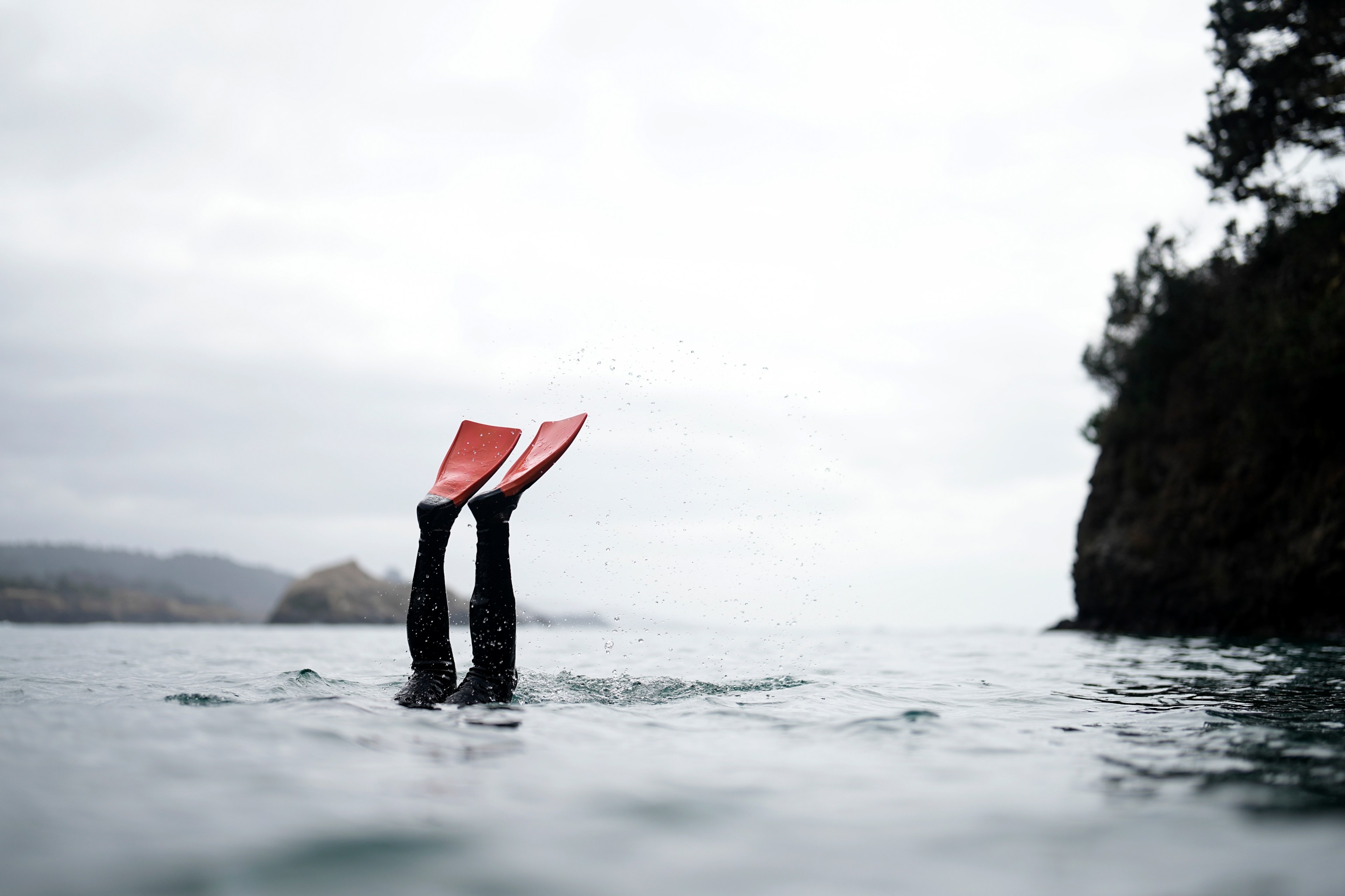 A diver flips into the water