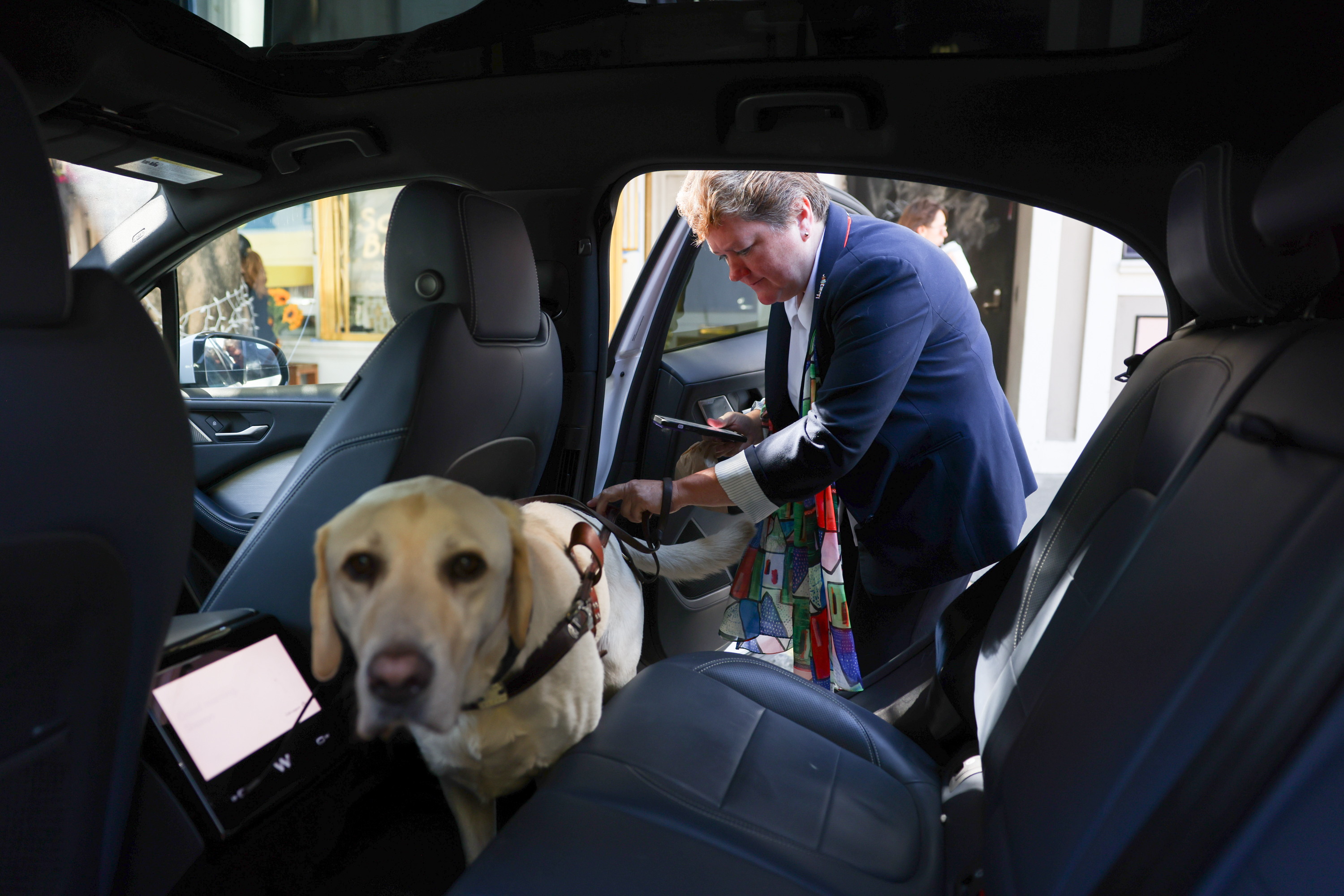 A person ducks into a vehicle with a seeing-eye dog.