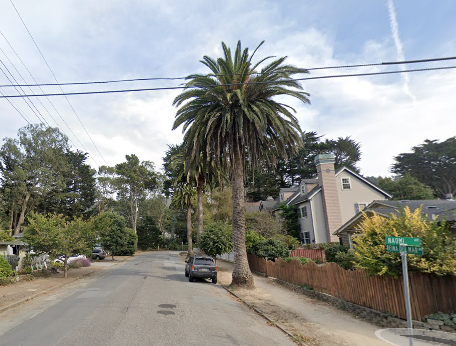 a street lined with a single palm tree