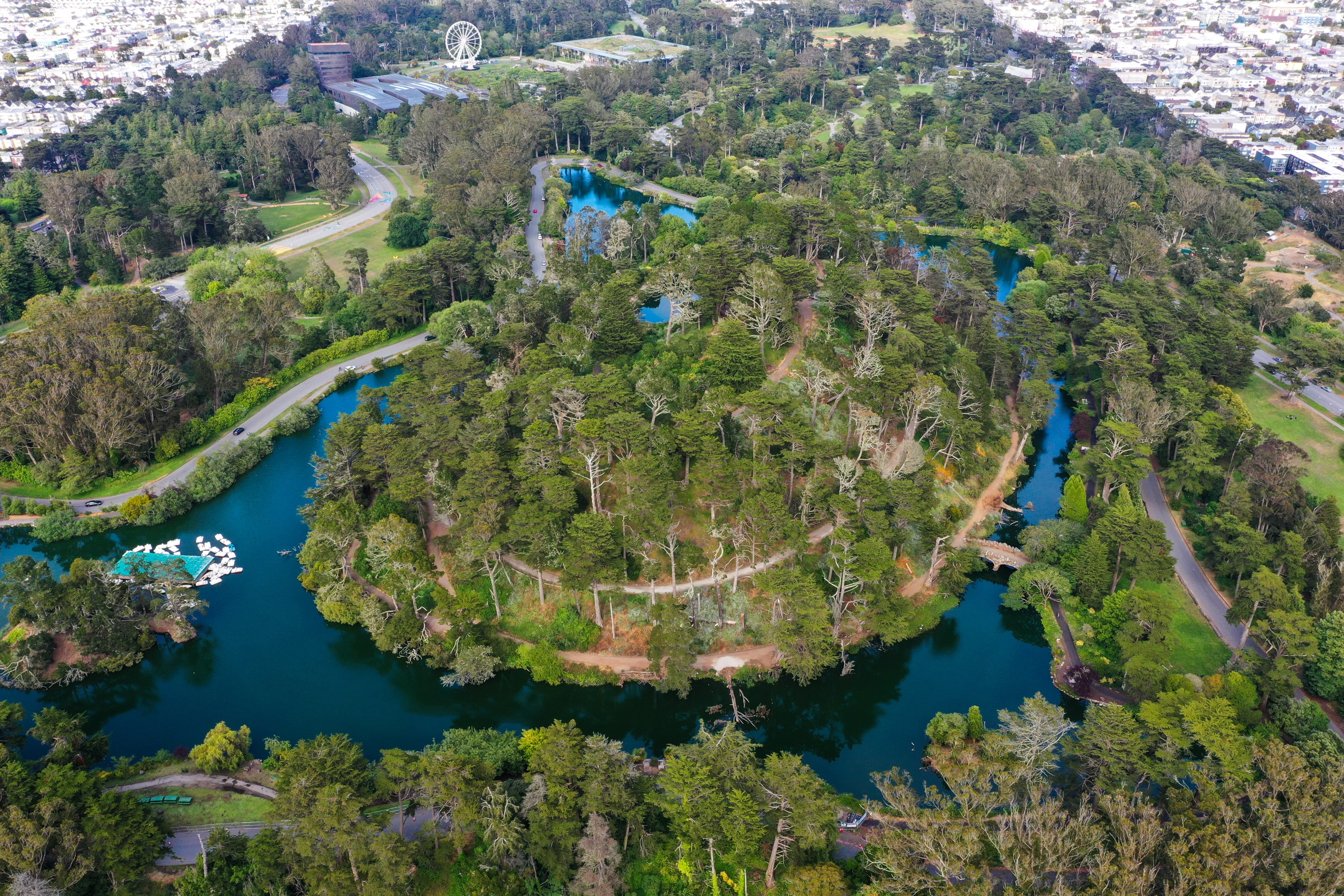 An aerial view of Stow Lake in Golden Gate Park.