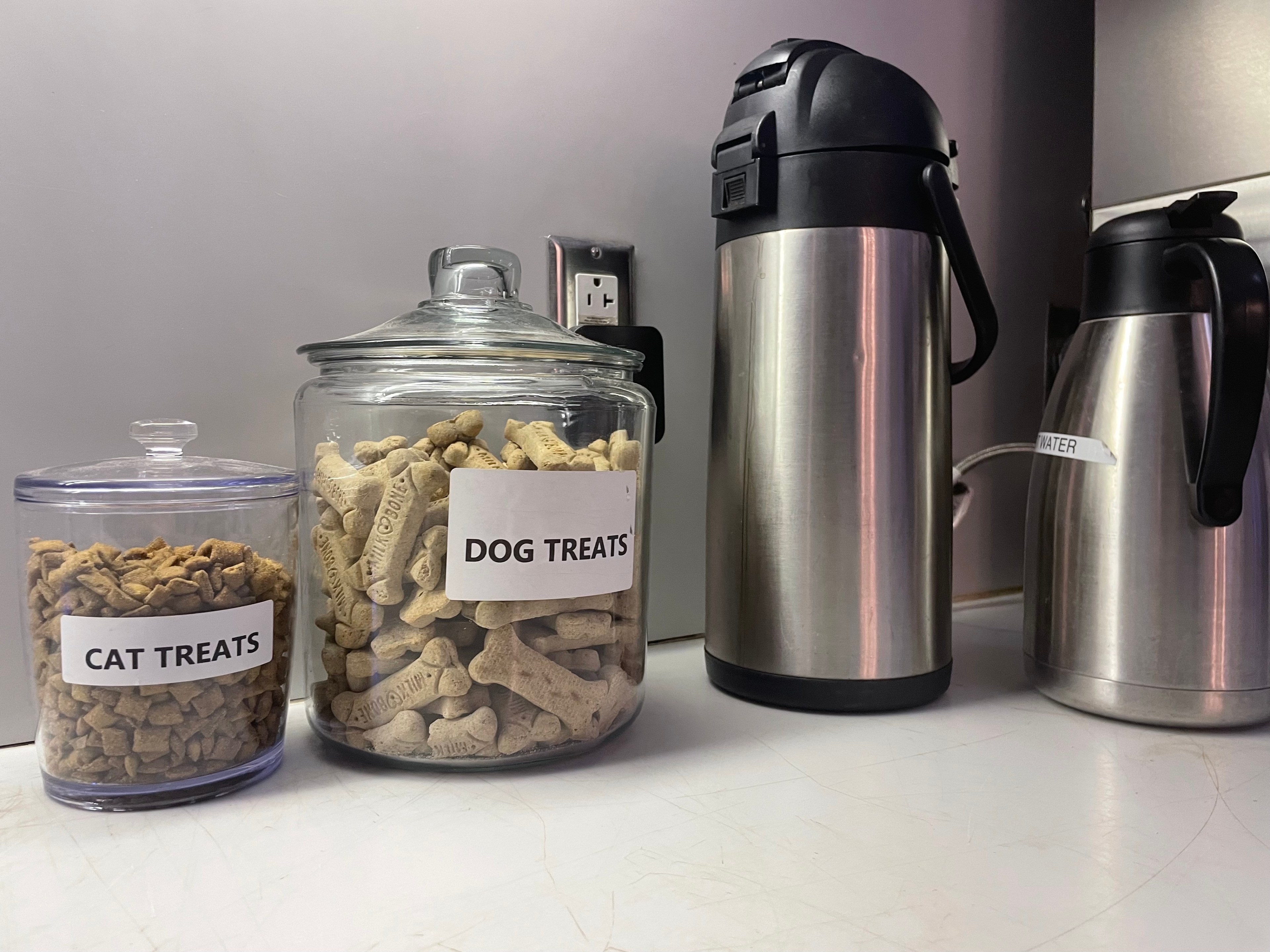 jars of dog and cat treats seen next to a coffee container.