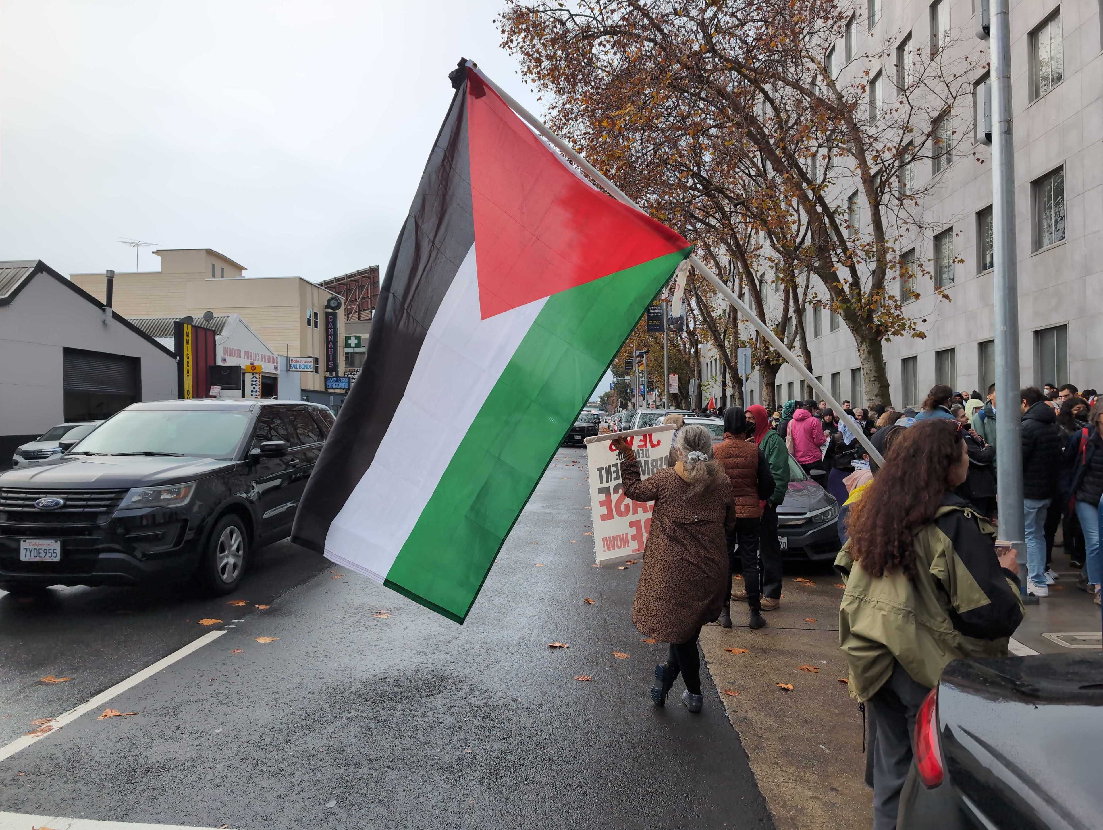 a person holds a palestine flag