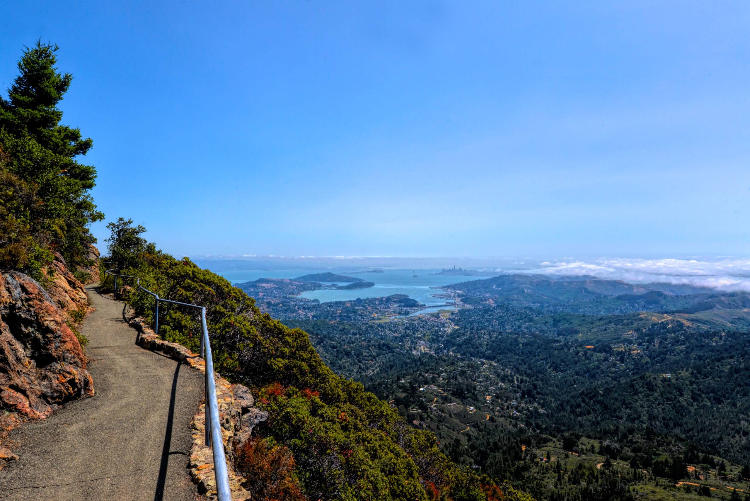 View of San Francisco Bay from Mount Tamalpais