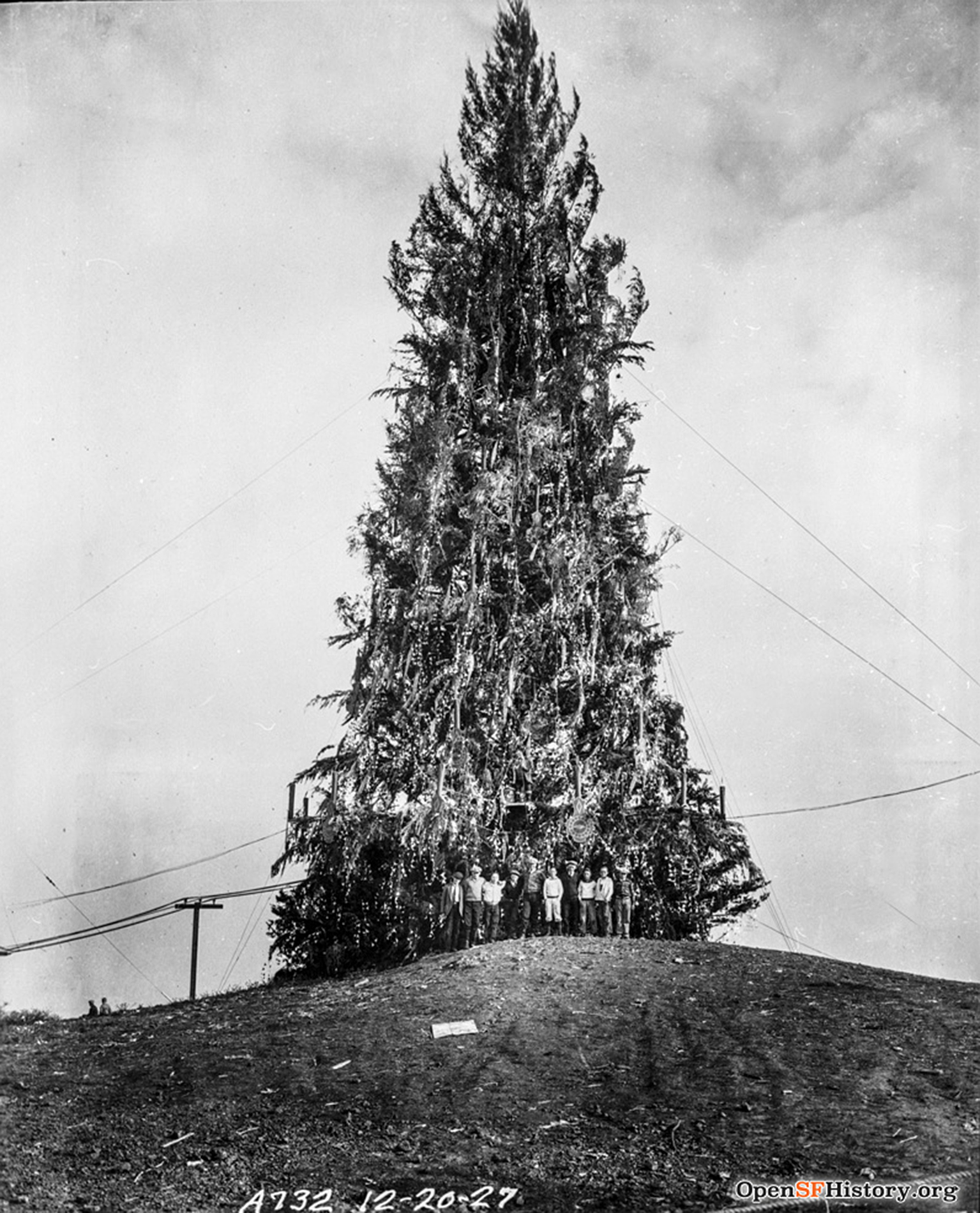 A tall decorated holiday tree outdoors is strung with tinsel atop a hill.