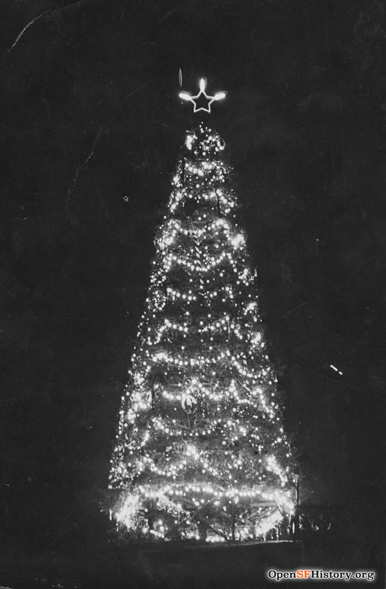 A black and white photo of a lit-up outdoor holiday tree at night.