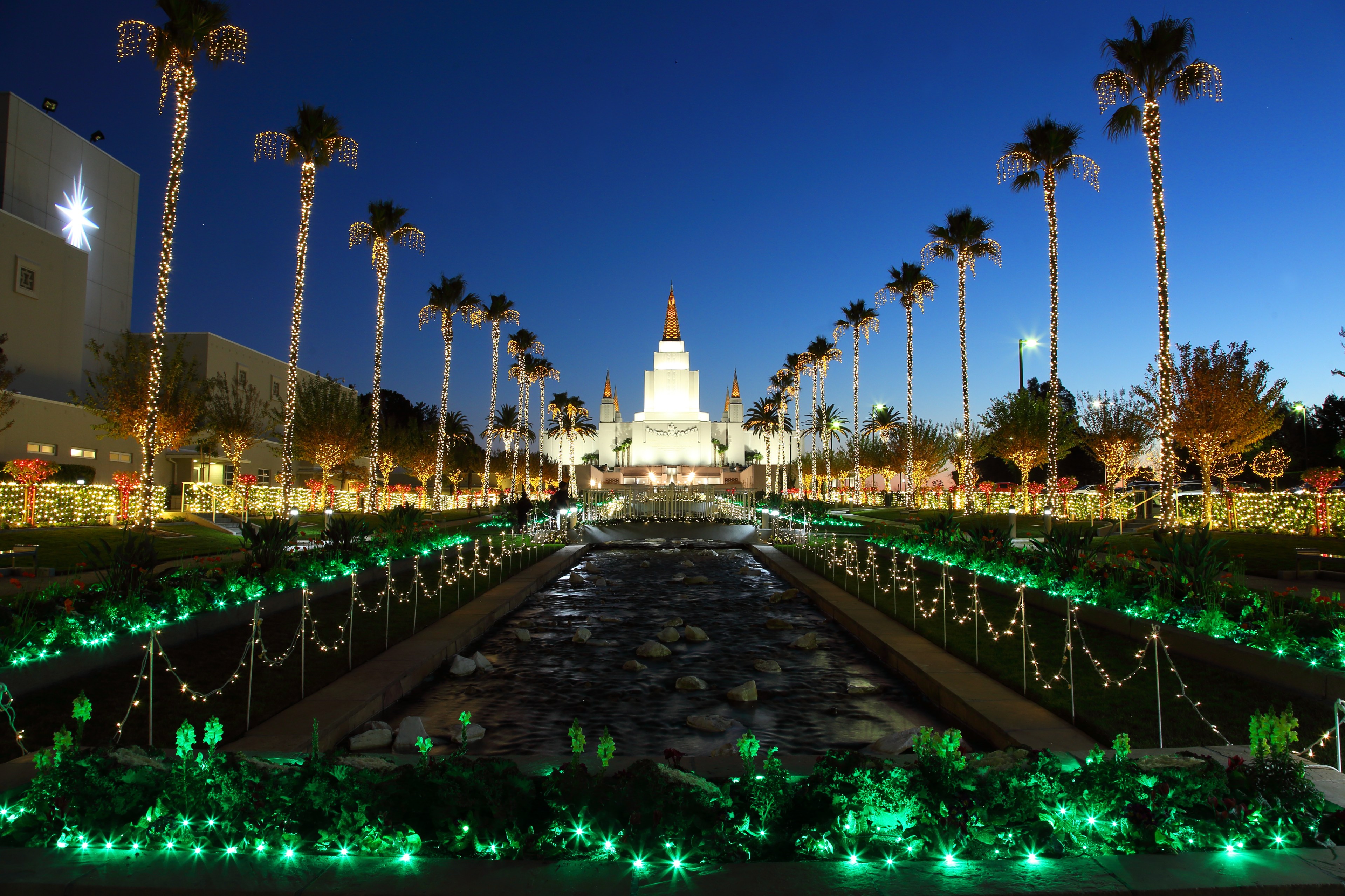 A Mormon temple lined by palm trees is illuminated with lights for the holidays.