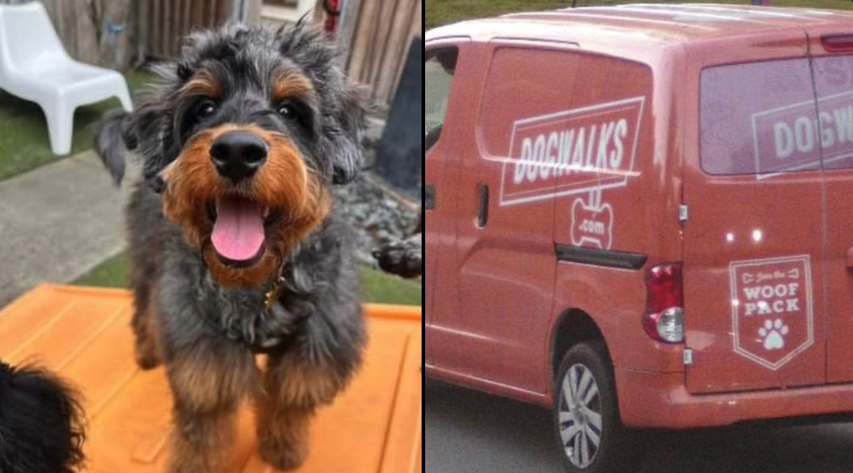 A photo illustration shows a dog next to a red van belonging to a dog walking company.