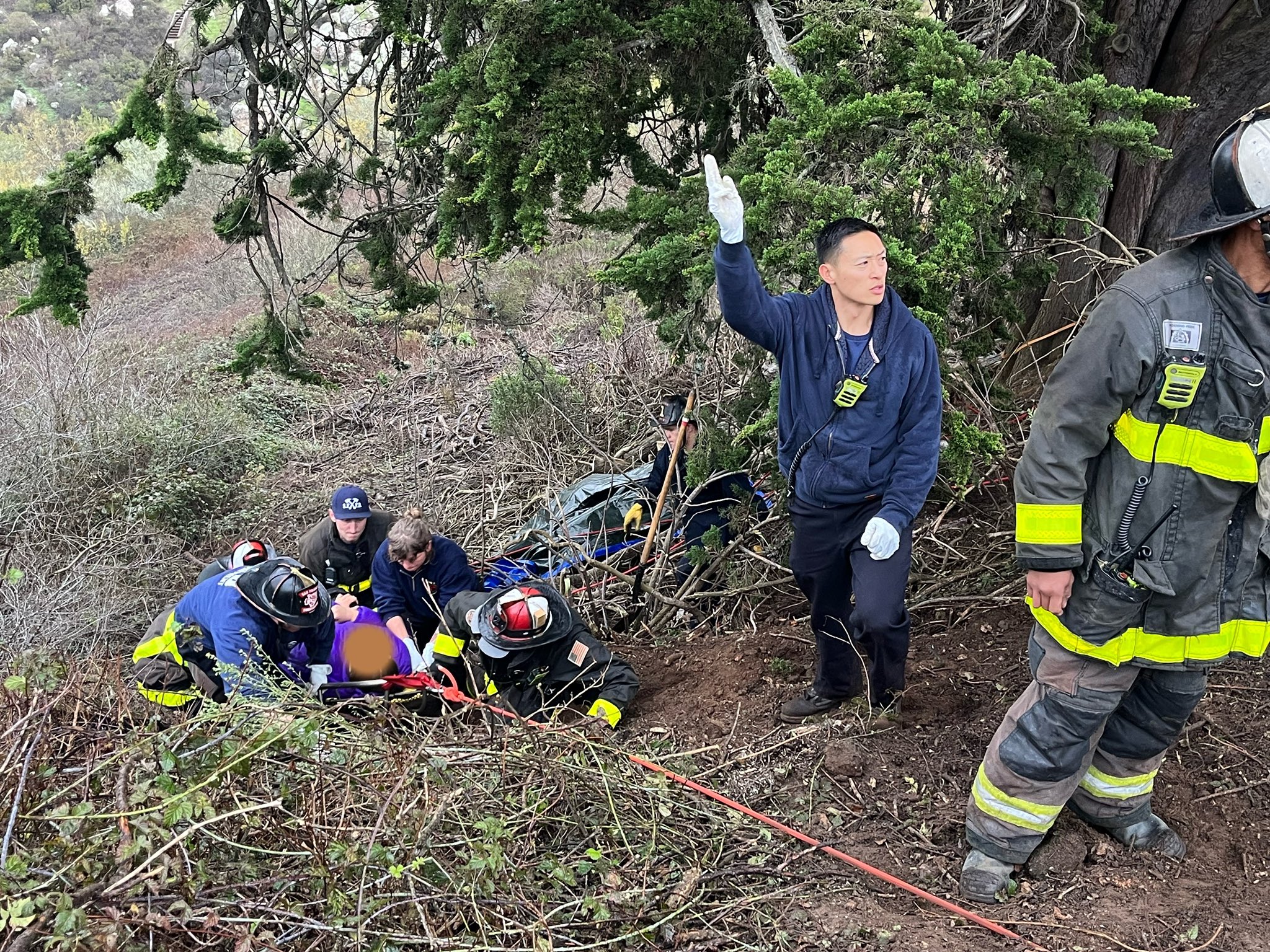 Firefighters and other officials pull person on stretcher up a slope covered in branches and brush