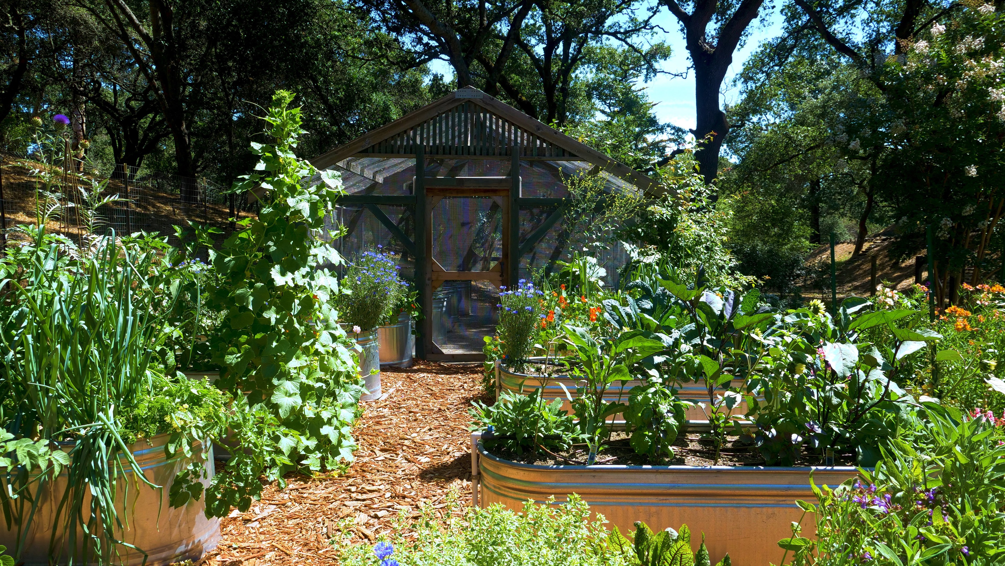 A garden with a green house. 