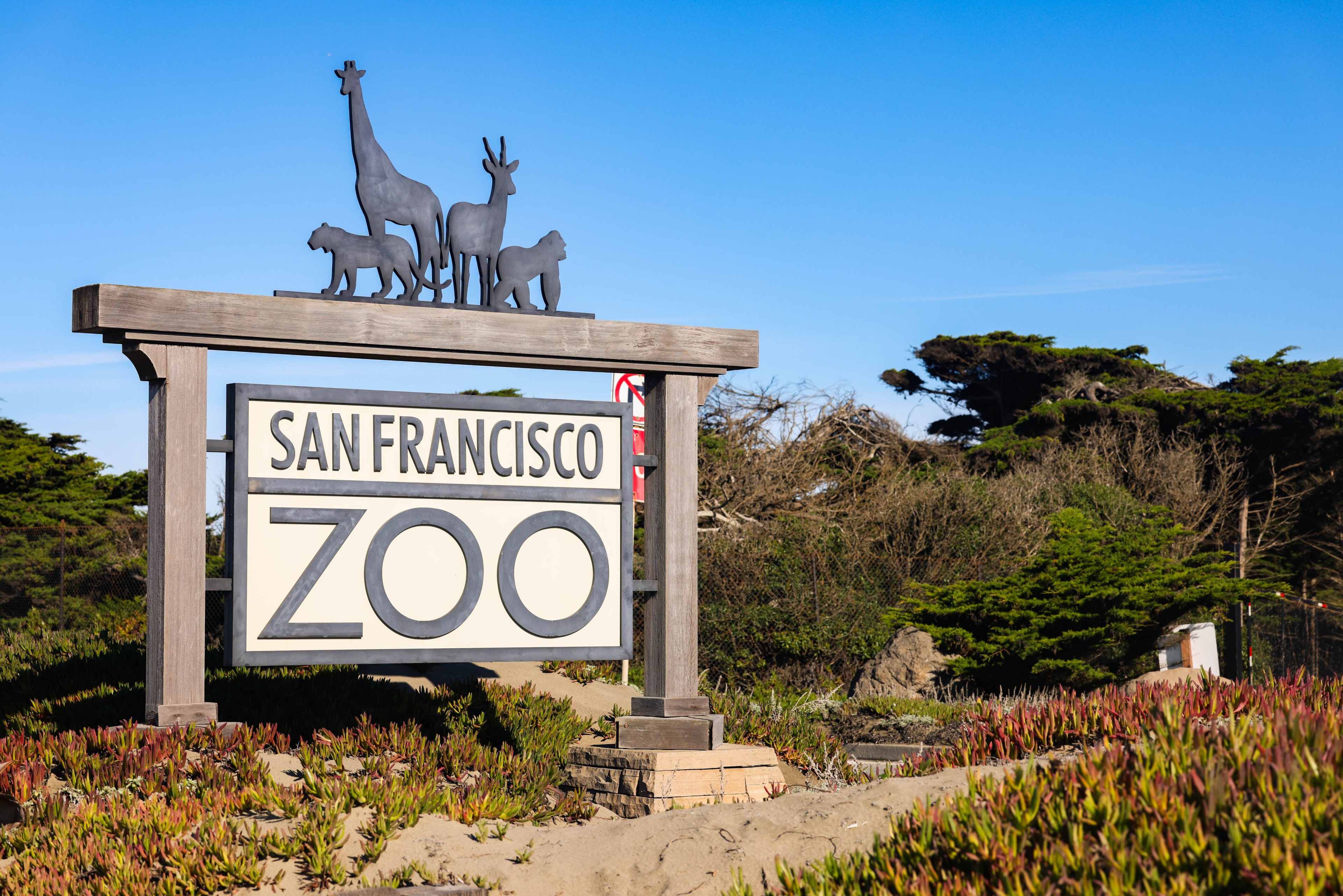 The image shows the San Francisco Zoo sign with animal silhouettes above it, surrounded by greenery under a clear blue sky.