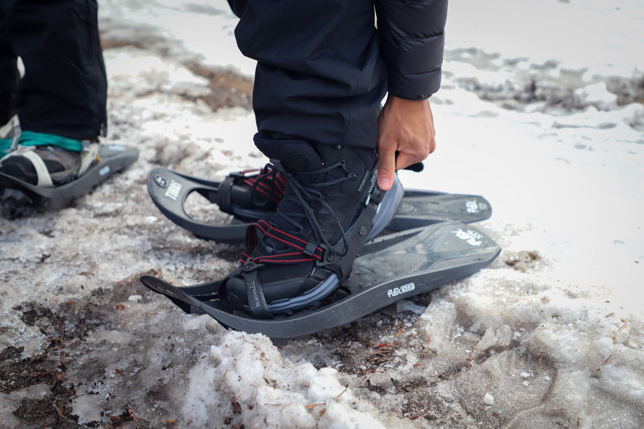 A person is adjusting snowshoes on their feet over patchy snow.