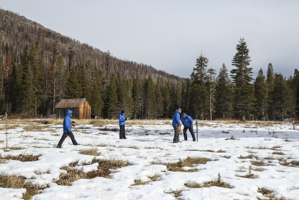 Three people in blue jackets explore a snowy field near a wooden cabin and dense forest.