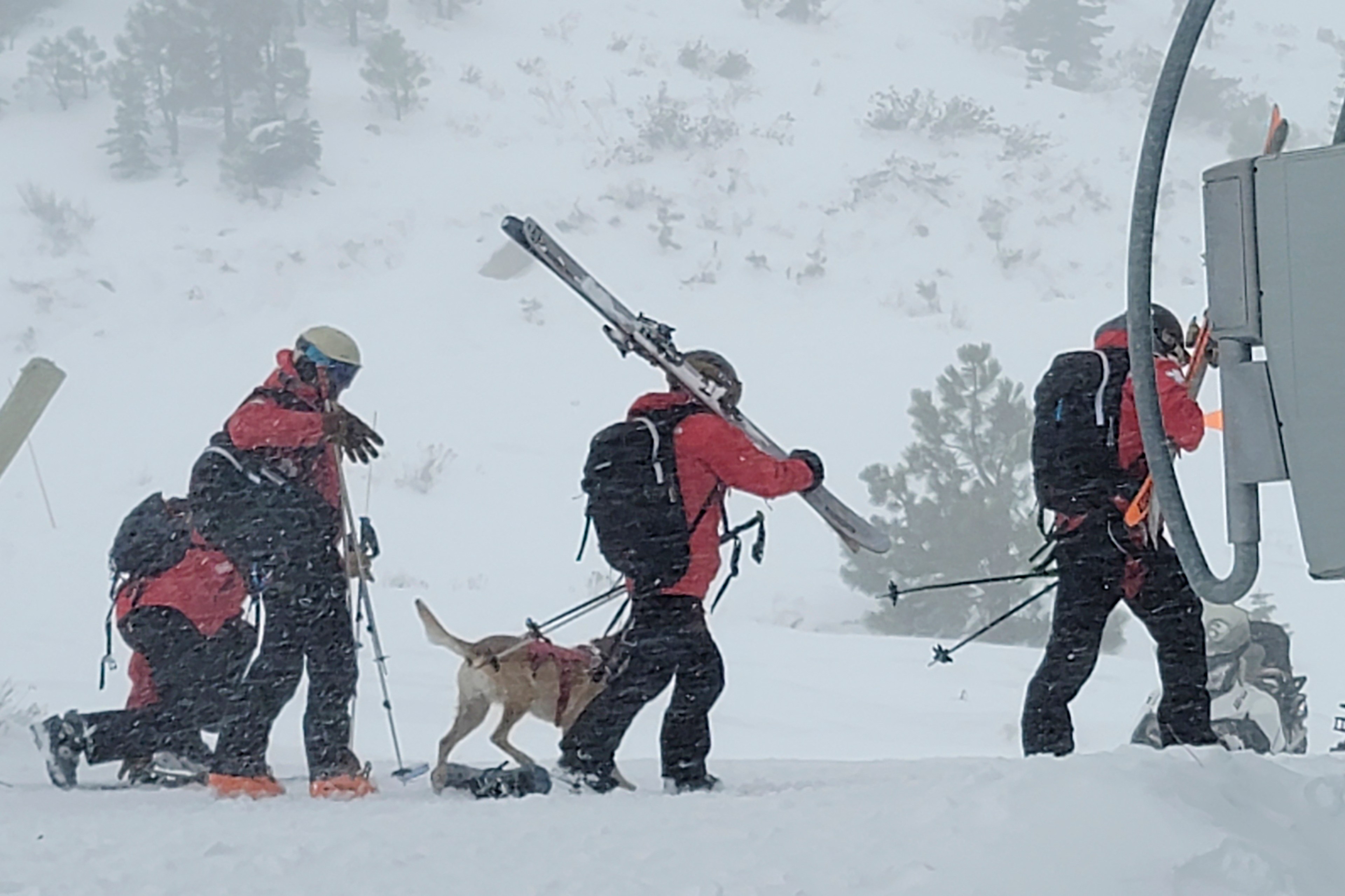 Individuals dressed in red jackets carry ski equipment alongside a dog in the snow