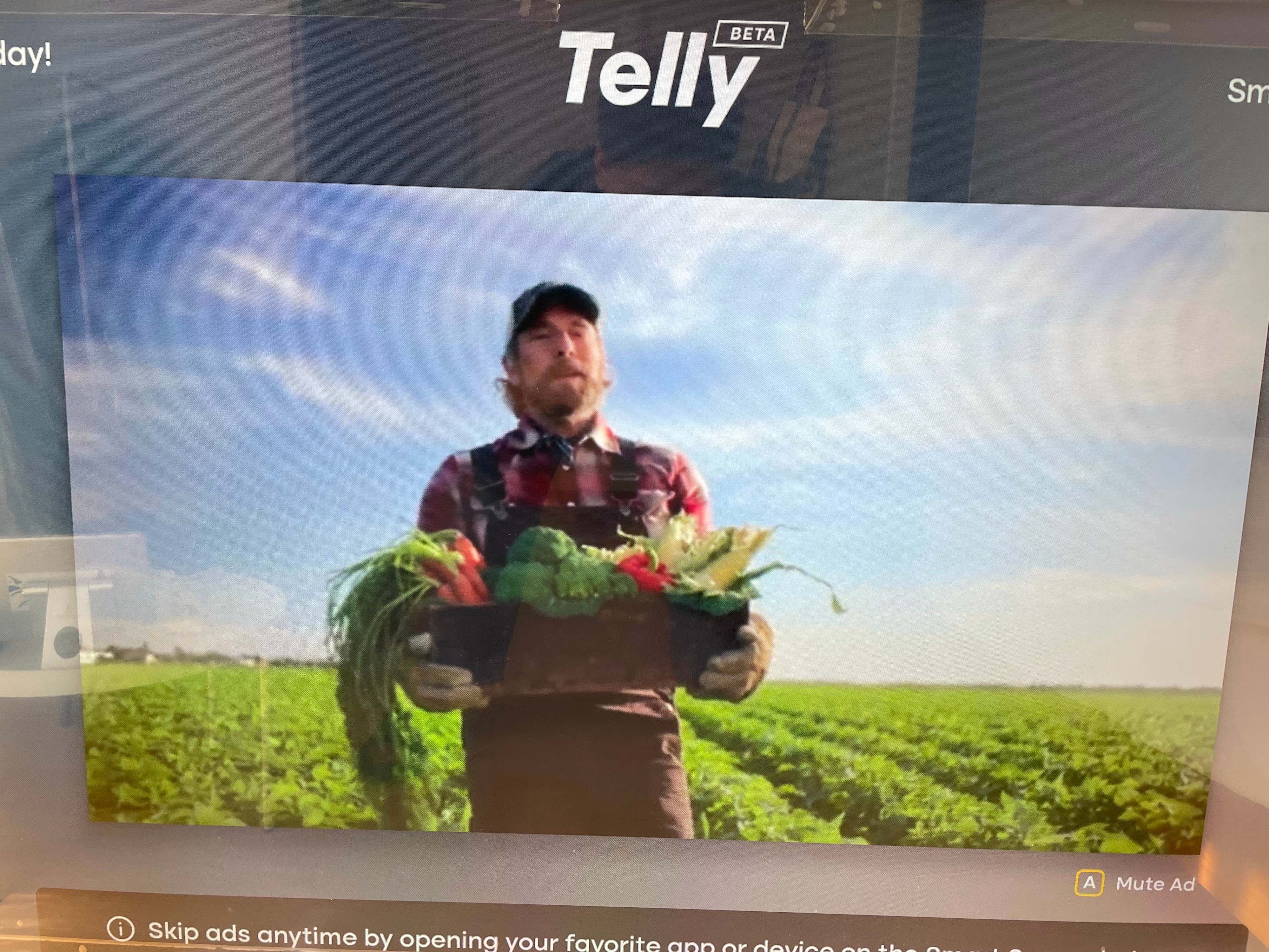 A photo of a Green Giant advertisement on a Telly TV. A man in overalls, a flannel and a cap is seen carrying a basket of vegetables