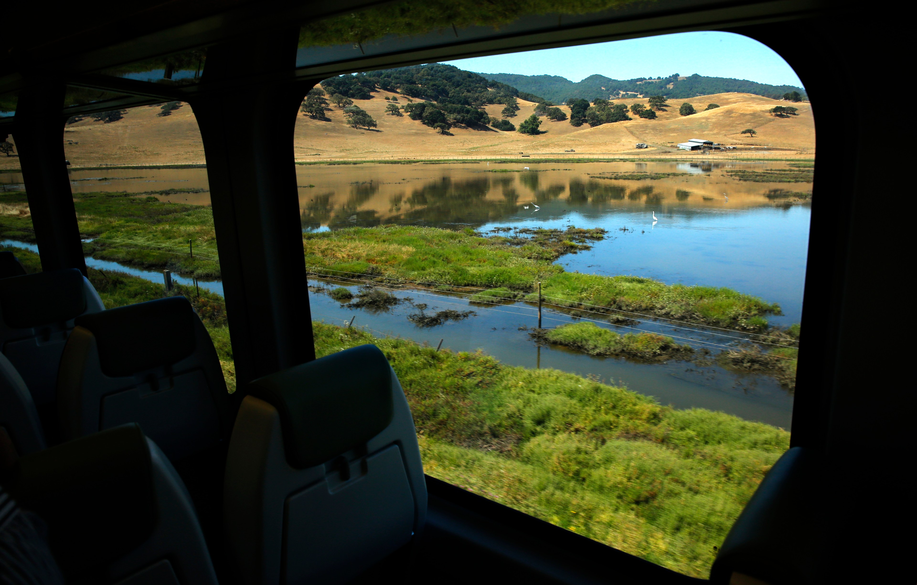 a daytime shot of a marsh through the interior of a window on a darkened train