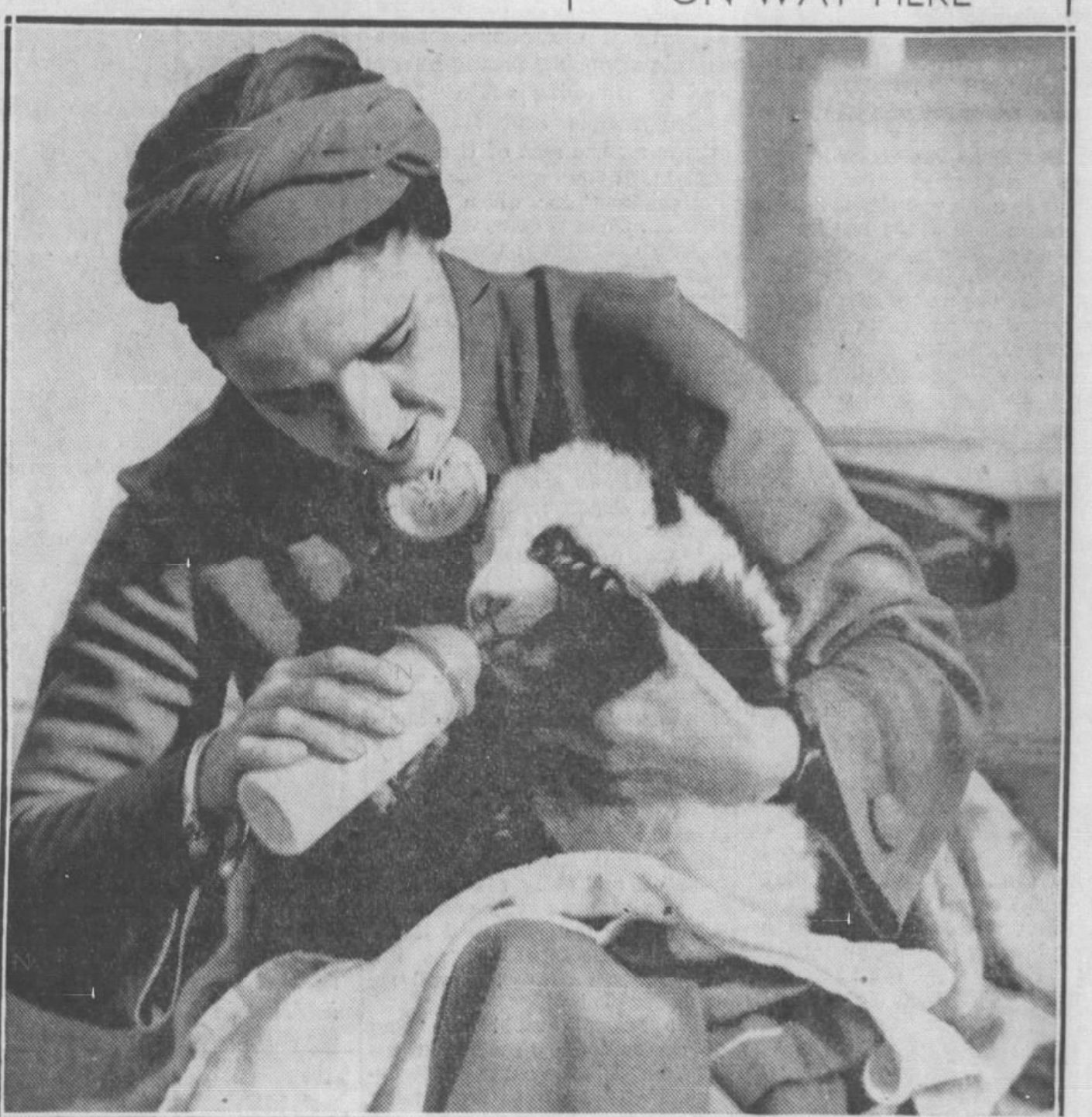 A person in a headwrap bottle feeds a panda cub cradled in cloth.
