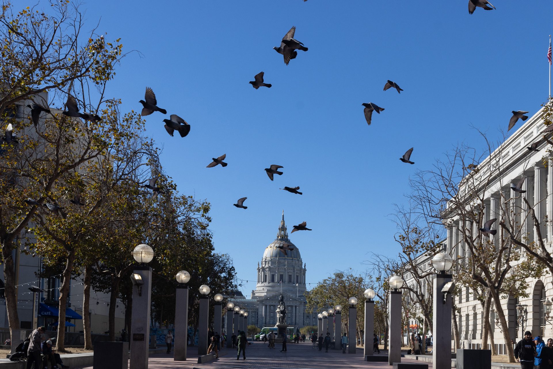 Pigeons in flight over a city plaza with a domed building in the background and people walking below.