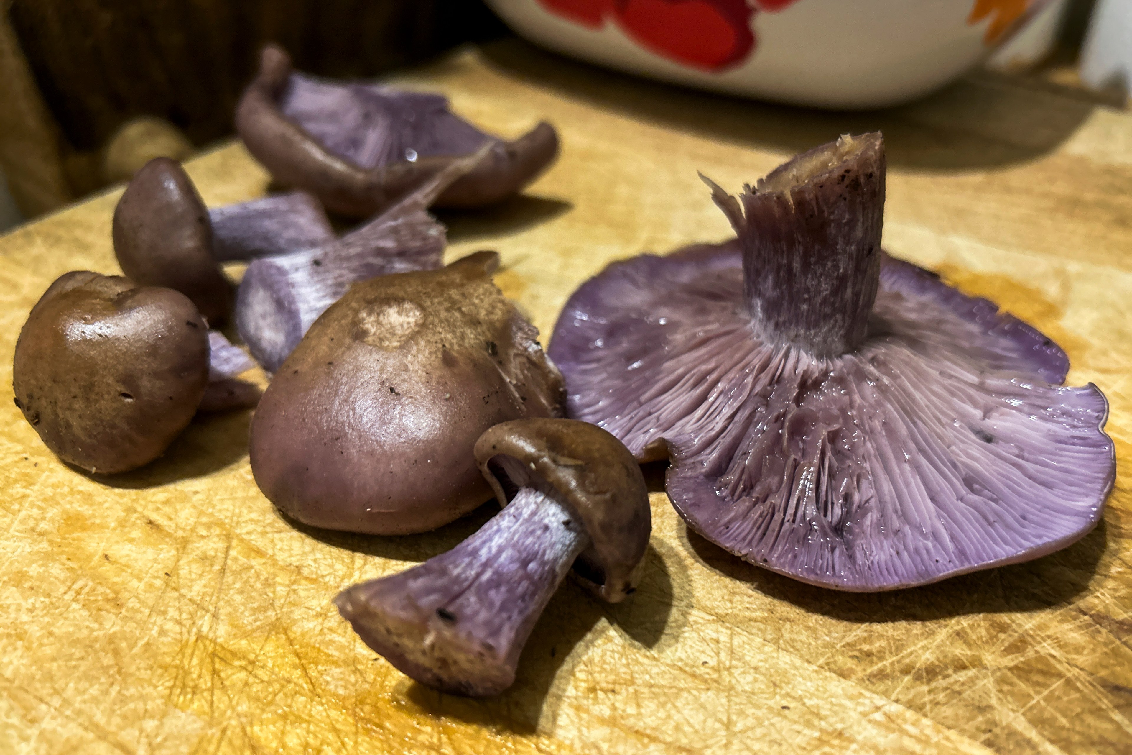 sliced and whole purple mushrooms on a cutting board