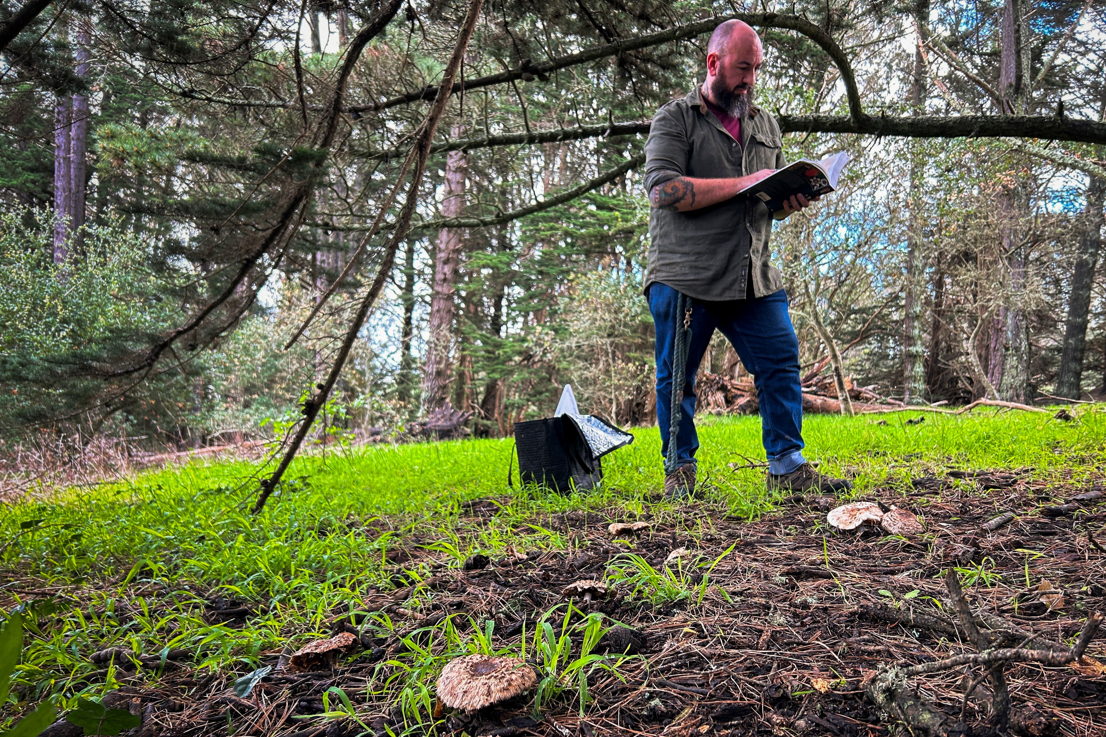 a bearded white middle-aged man in jeans and a red cap leafs through a book in the woods, with a bag to his left and mushrooms growing in the foreground