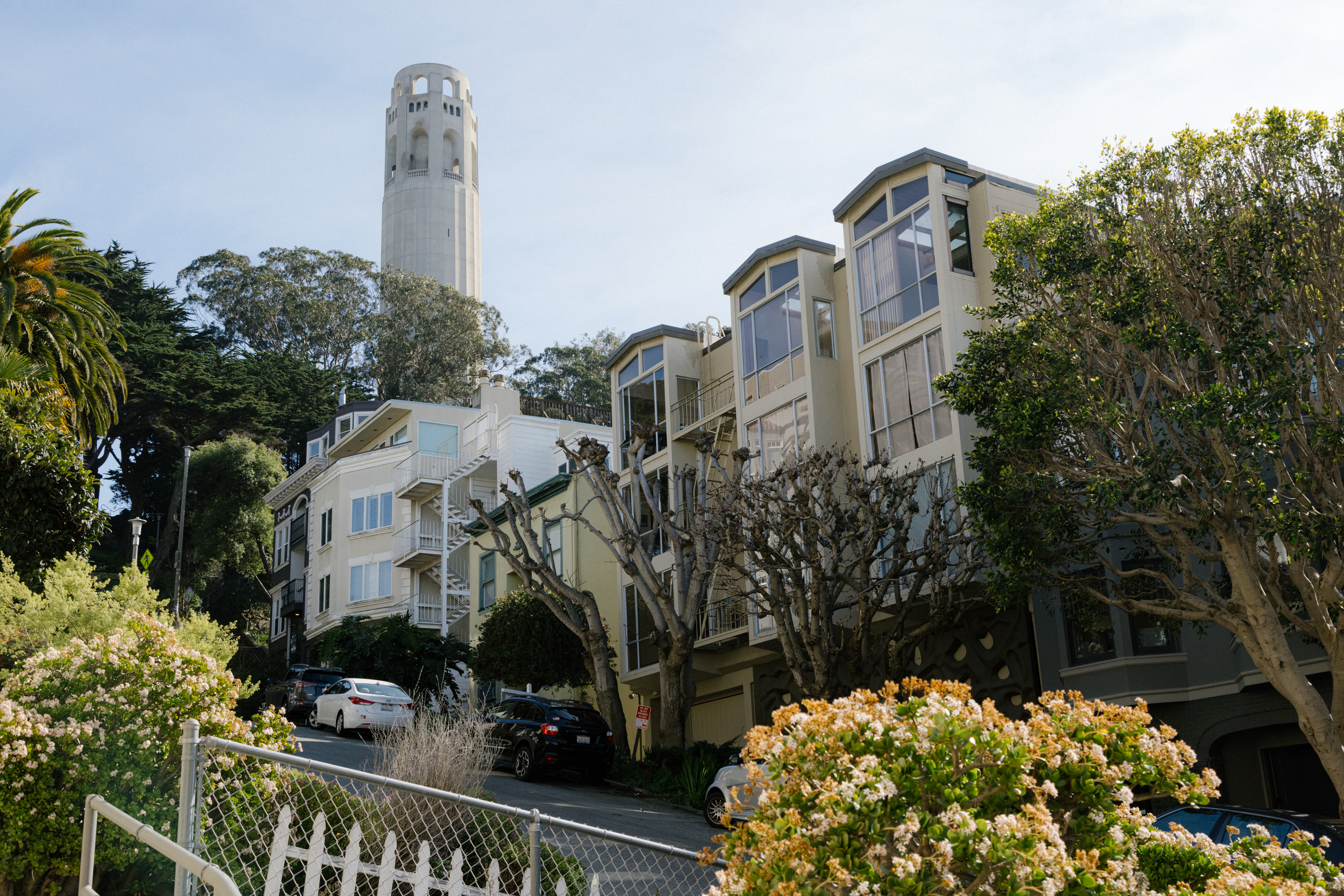 A cityscape with Coit Tower atop a hill, flanked by trees and terraced modern houses under a clear sky.