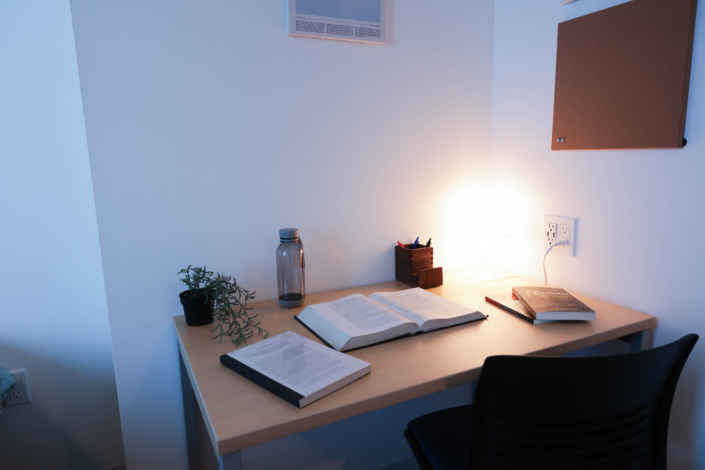 A tidy study desk with a lamp, books, a plant, a bottle, and a pen holder.