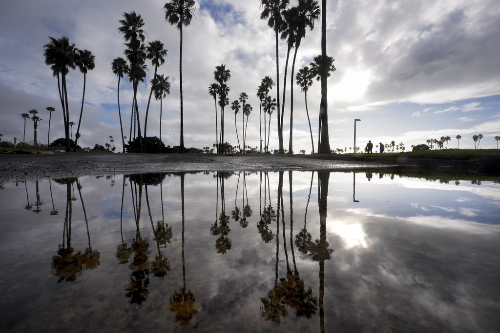 Tall palm trees and cloudy sky reflected in a water puddle, with silhouettes of people in the background.