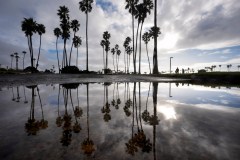 Tall palm trees and cloudy sky reflected in a water puddle, with silhouettes of people in the background.