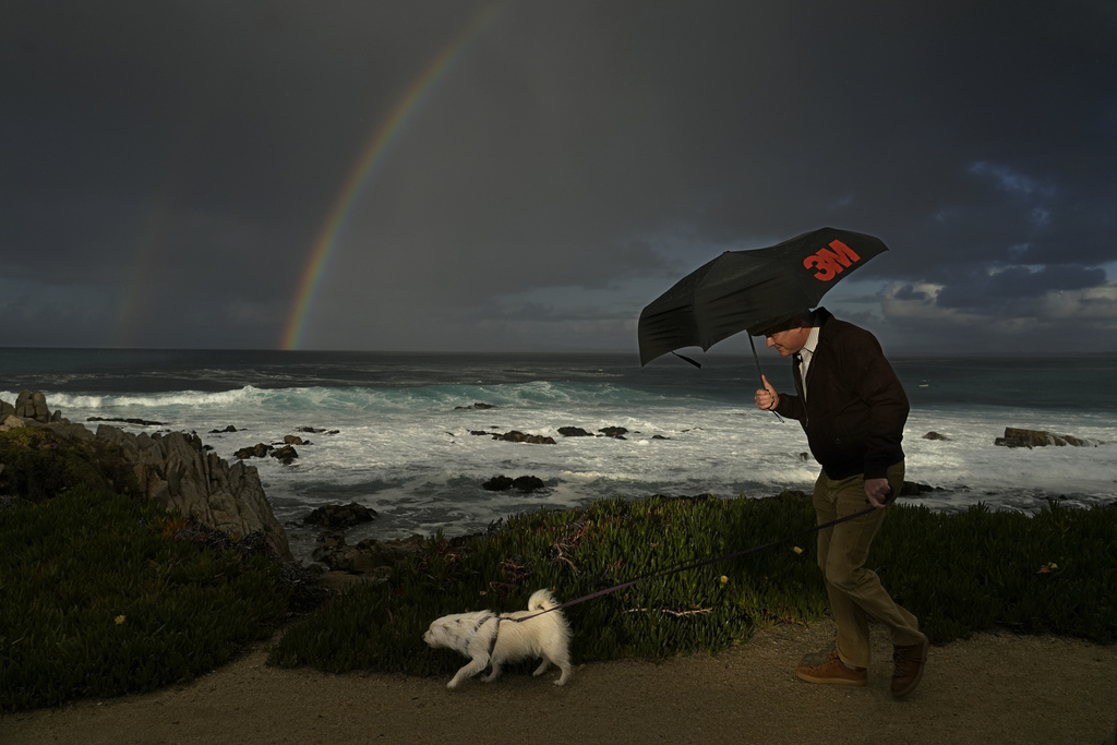 A person with an umbrella and a dog walking by the sea under a rainbow.