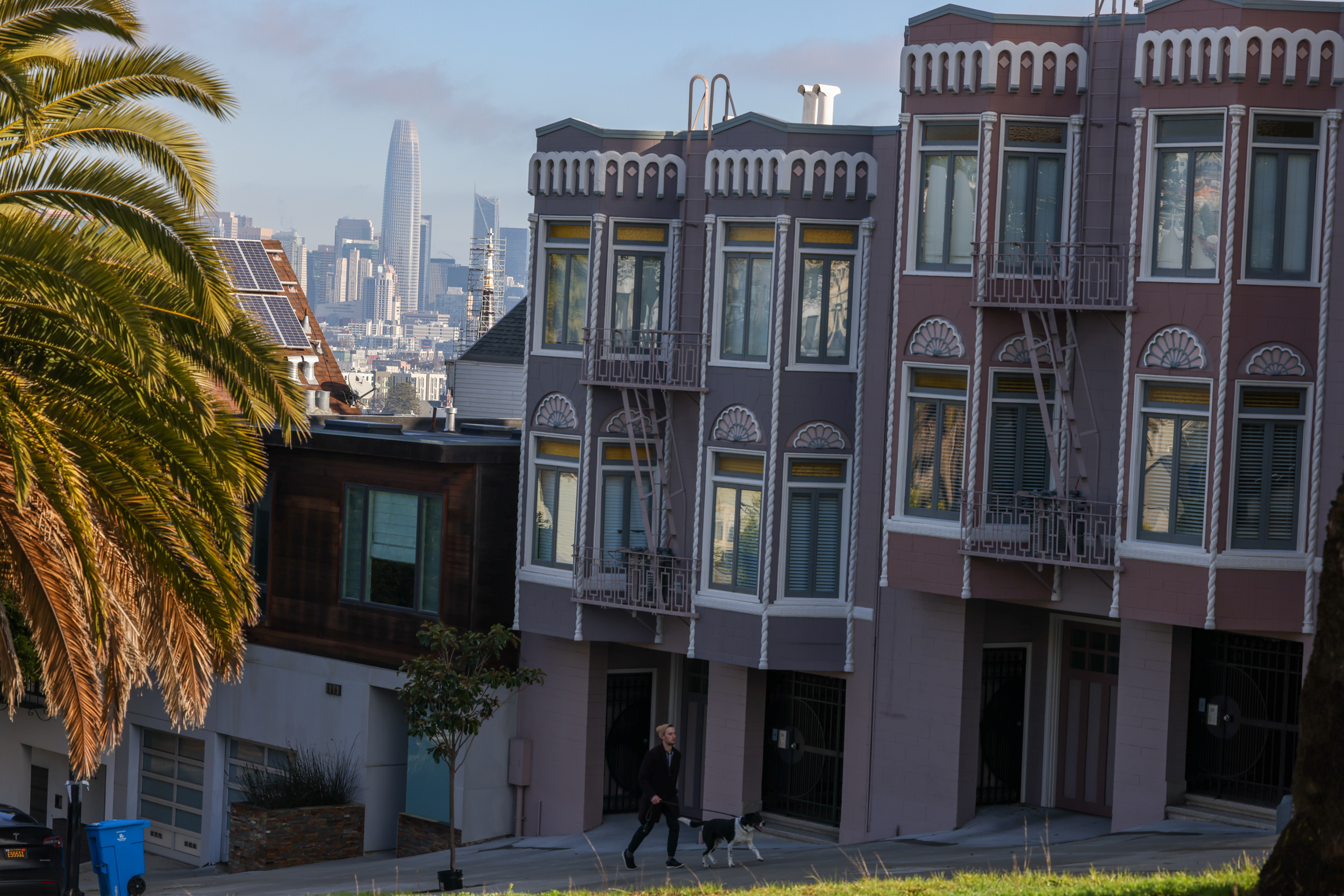 A person walks a dog on a steep street with colorful, ornate townhouses and palm trees in the foreground, while modern skyscrapers loom in the distance under a blue sky.