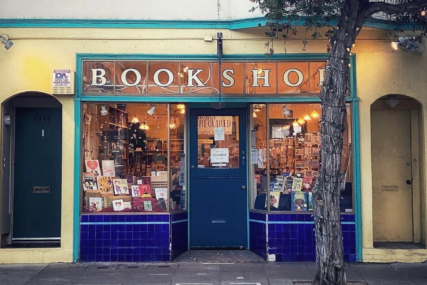 A quaint bookshop with a blue and yellow facade, large display windows, and a tree out front.