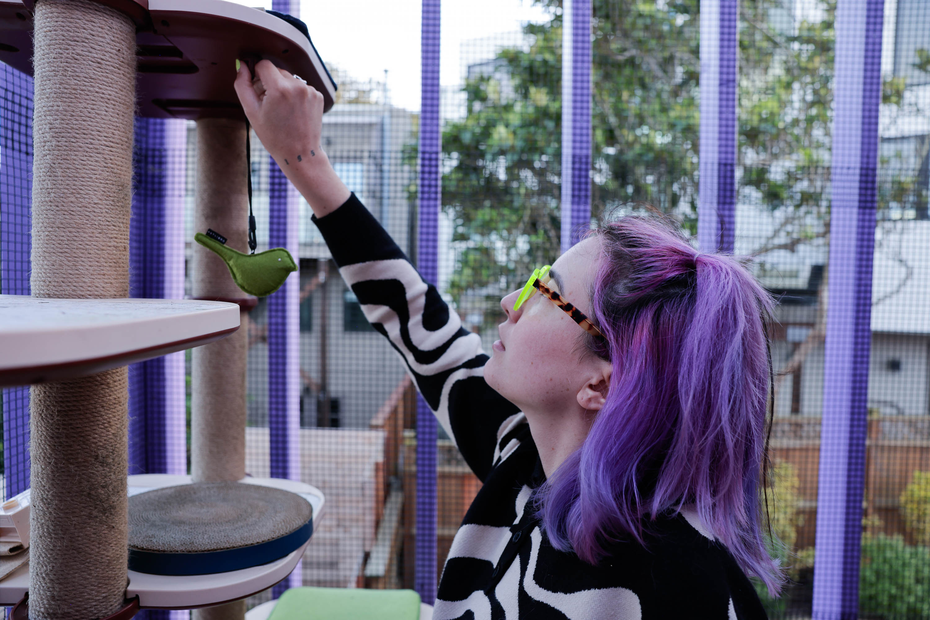 Tay &quot;BeepBoop&quot; Nakamoto touches a cat playhouse on the custom &quot;catio&quot; she designed for San Francisco's Floral House.
