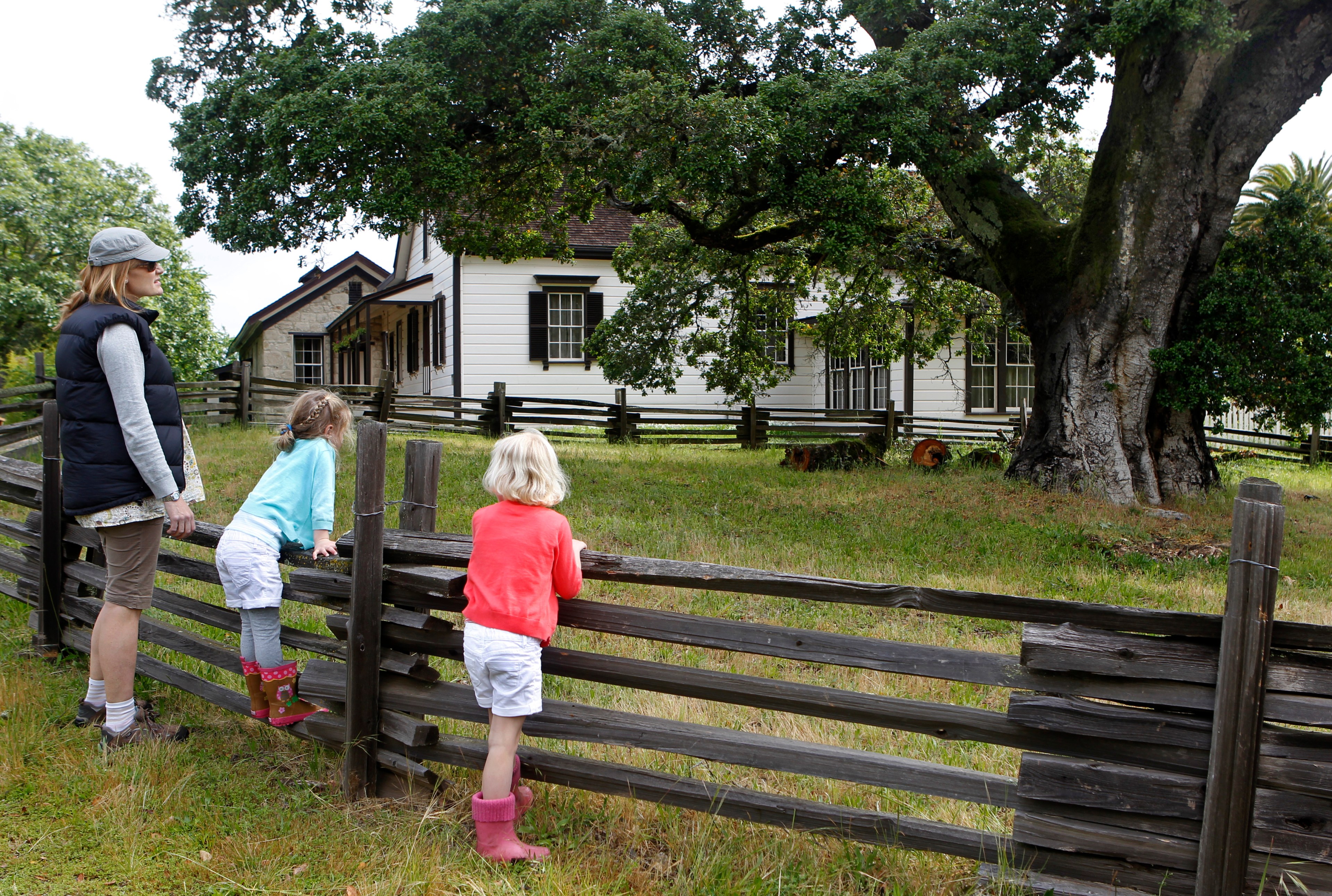 A woman and two children look over a wooden fence at a white historic house and a large tree.