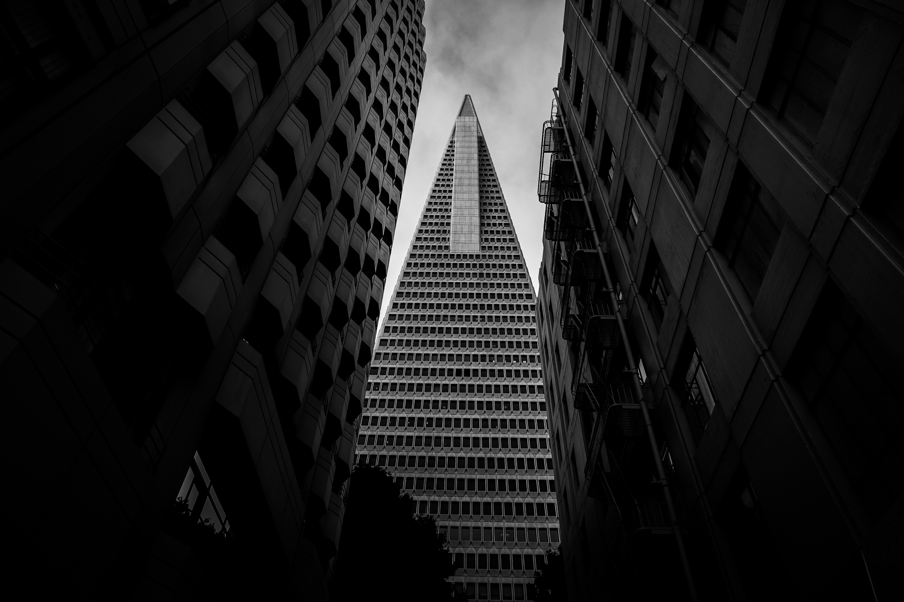 Transamerica Pyramid building in San Francisco amid towers