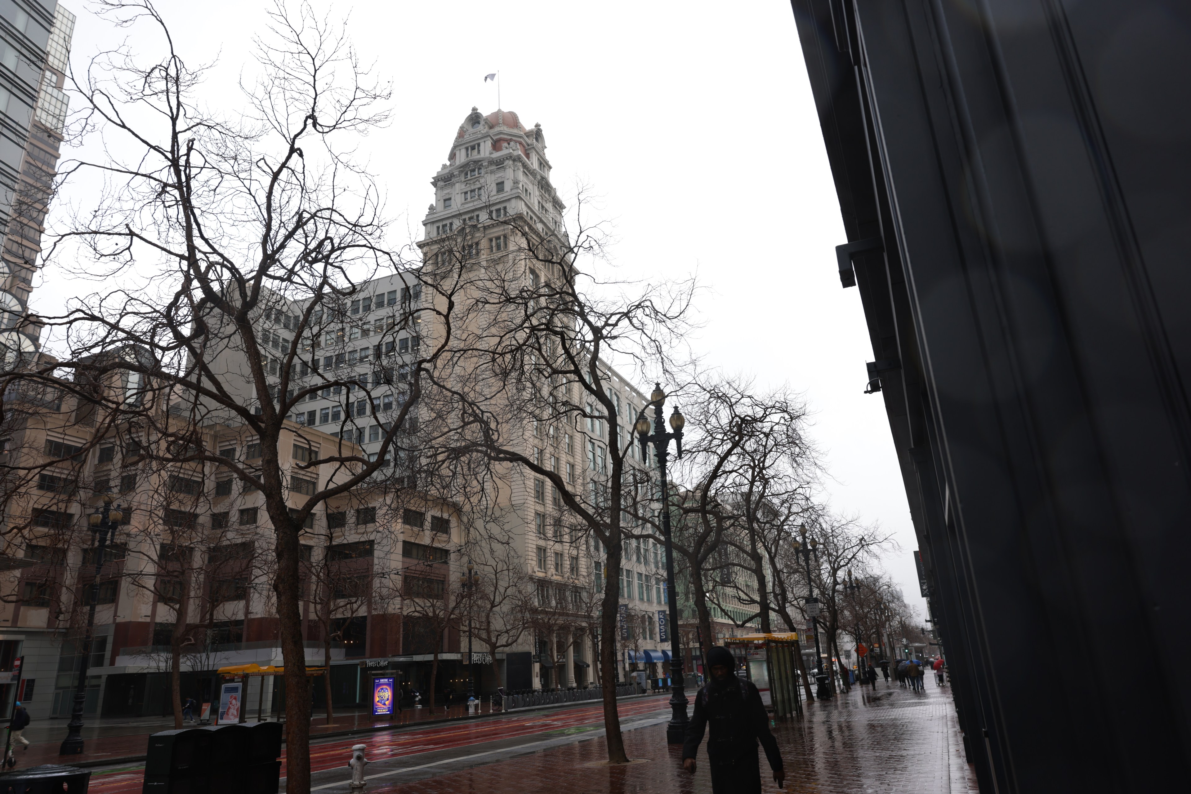 An overcast city scene with bare trees, a historic building, wet streets, and a person walking.