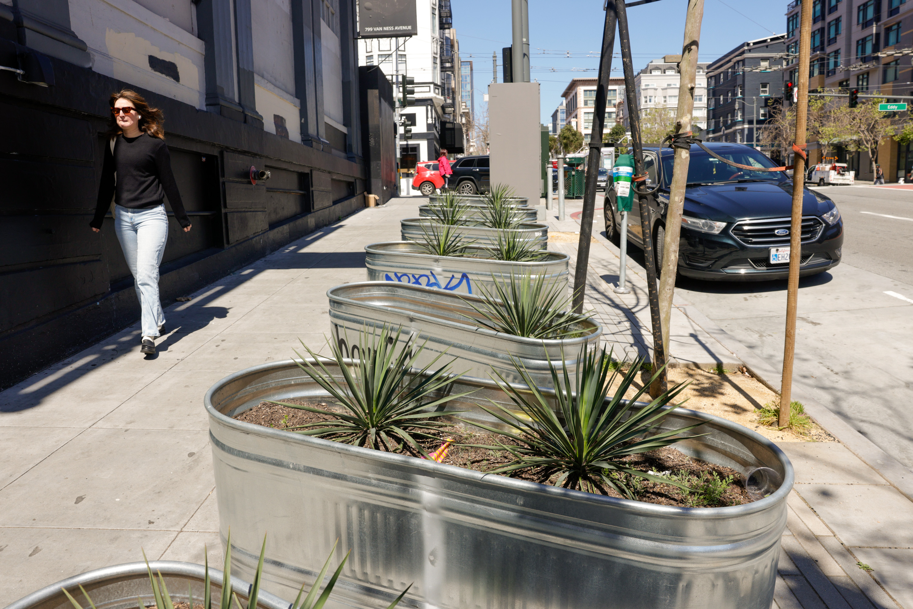 A sunny city sidewalk with large metal planters containing spiky plants; a woman walks by, cars parked in the background.