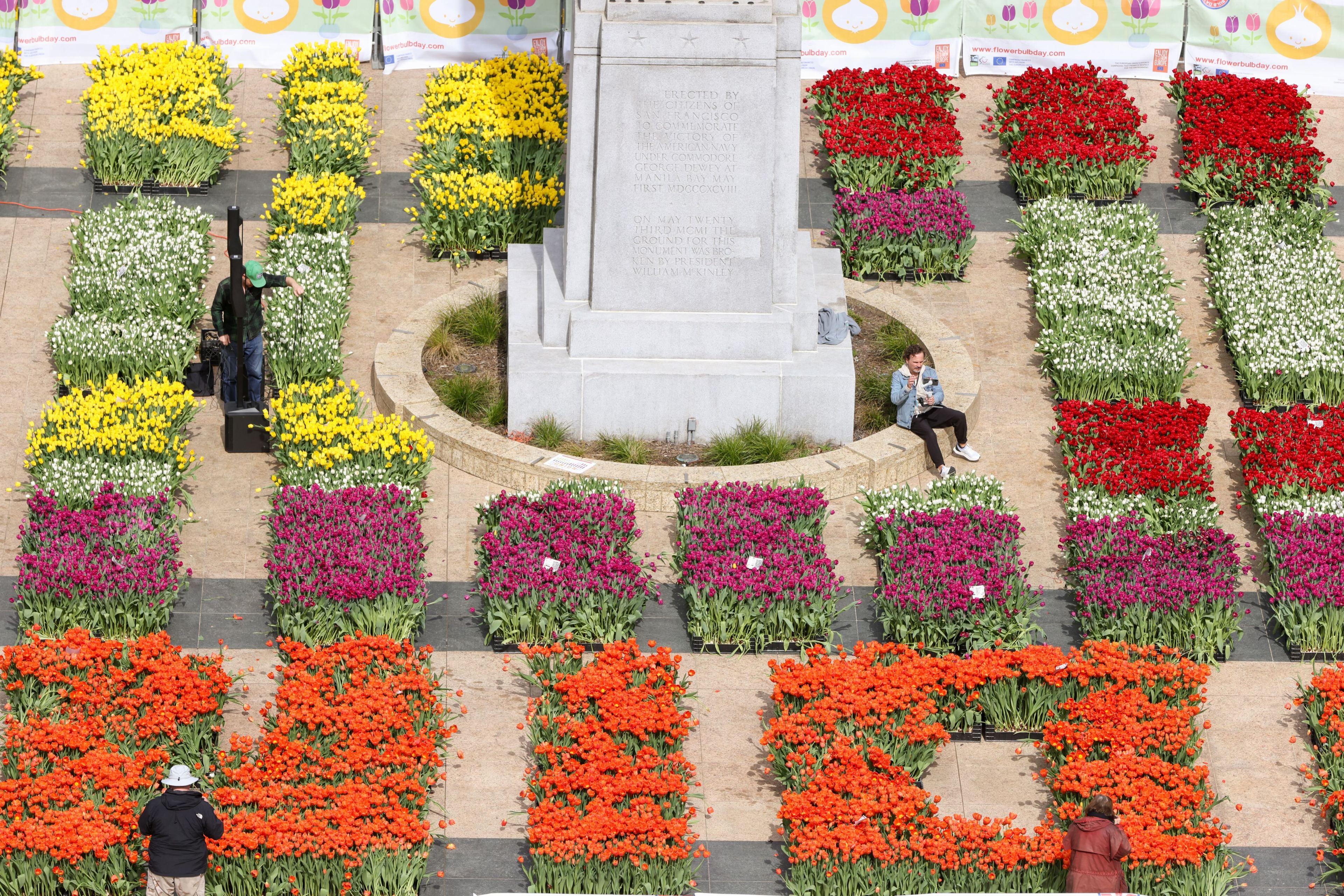 A colorful tulip garden with people, surrounding a central monument.