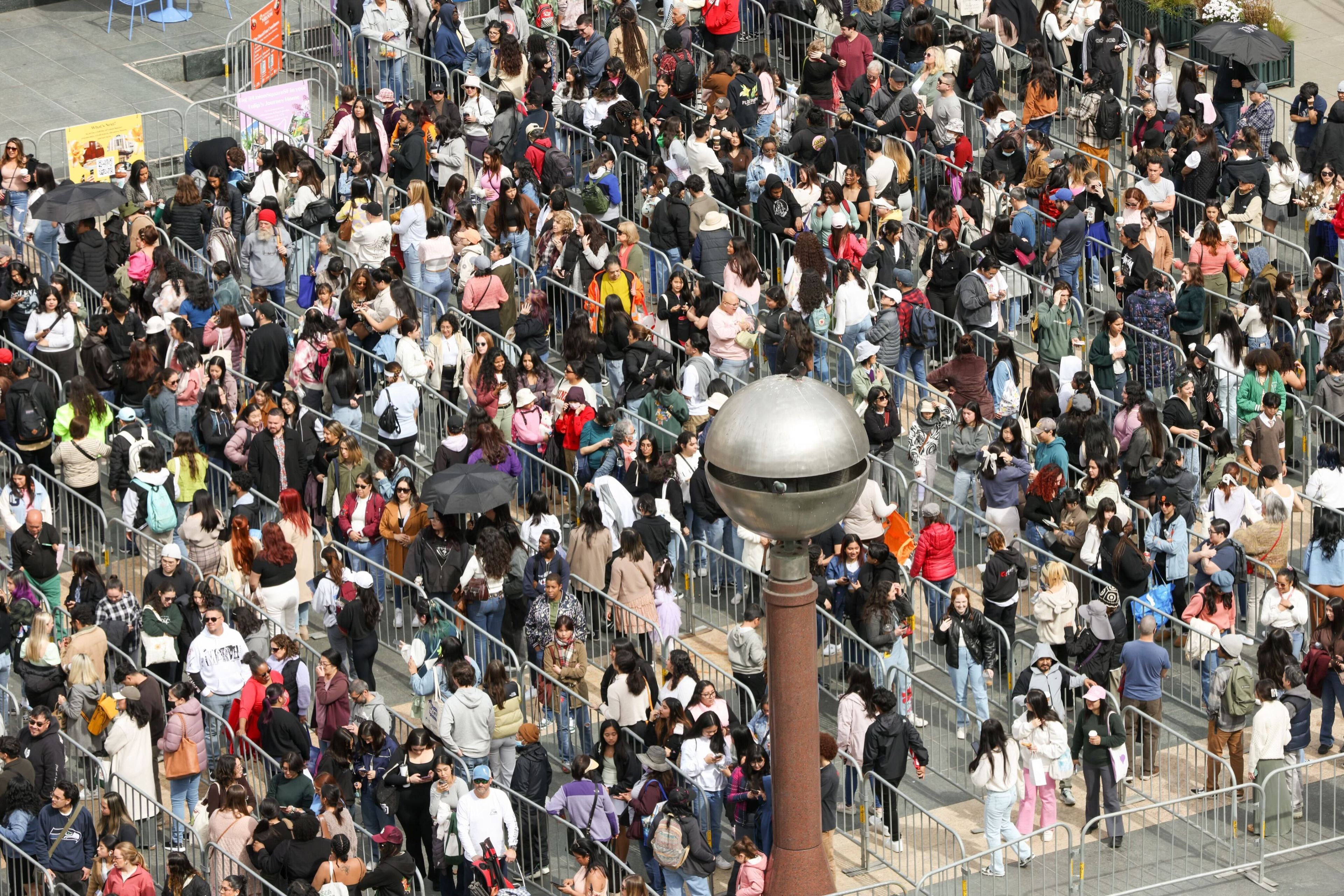 A dense crowd of people queuing in a zigzag pattern, with some holding umbrellas.