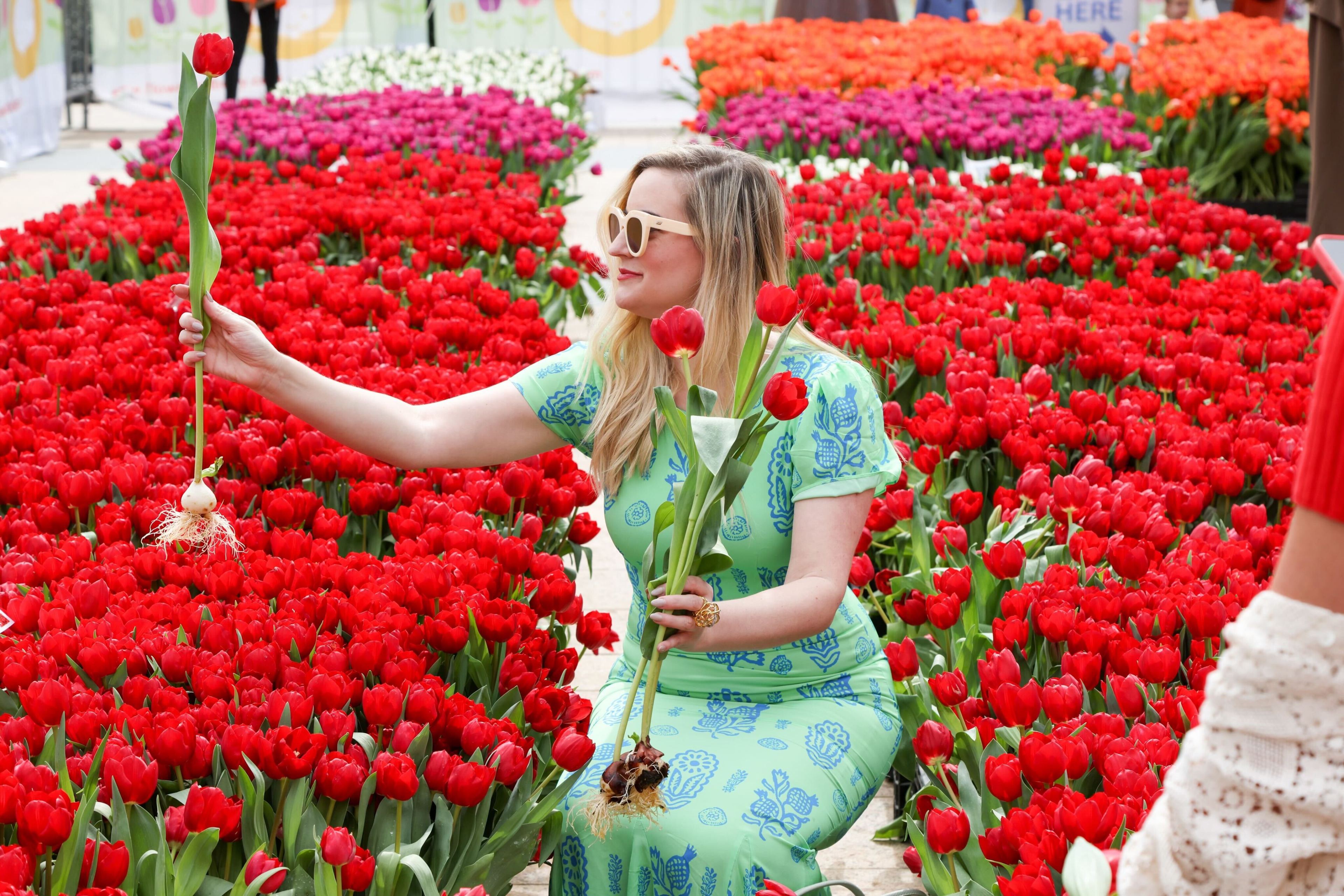 A woman in sunglasses sits among vibrant red tulips, holding one up to inspect it.