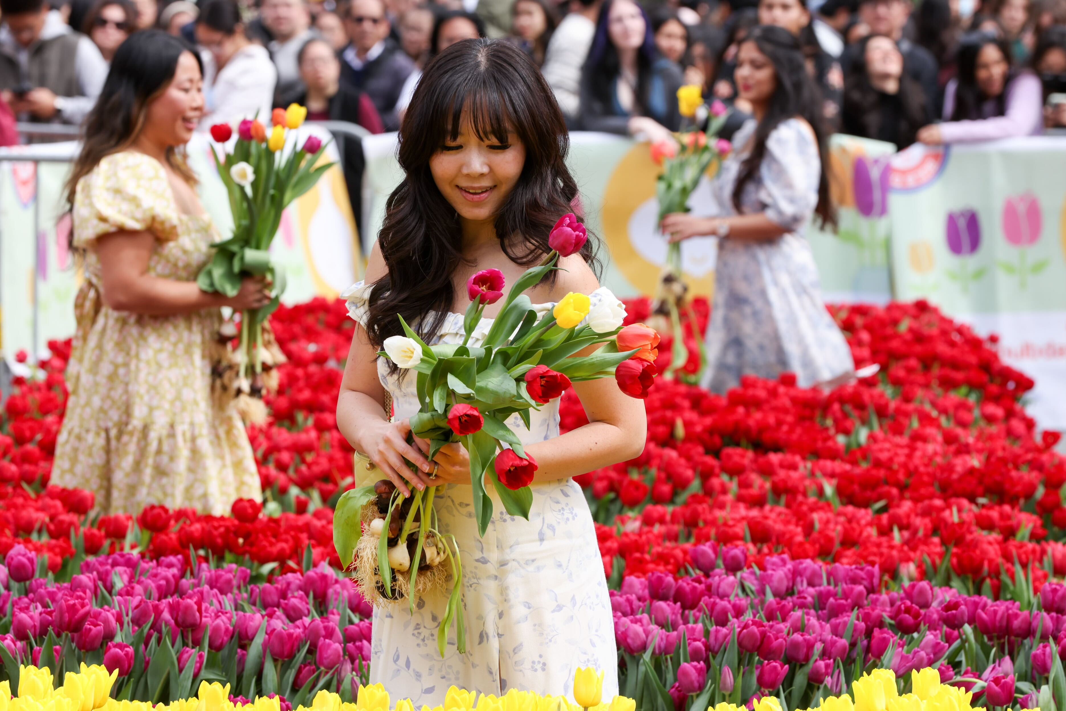 A woman holding tulips stands amid a colorful tulip field, with people and banners in the background.