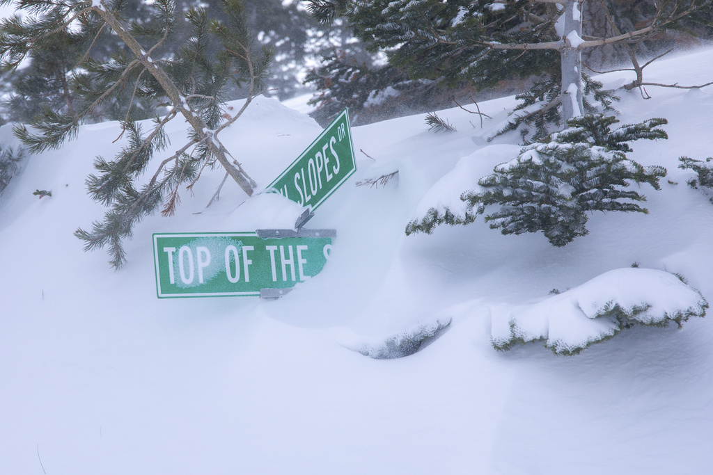 Signs buried in snow