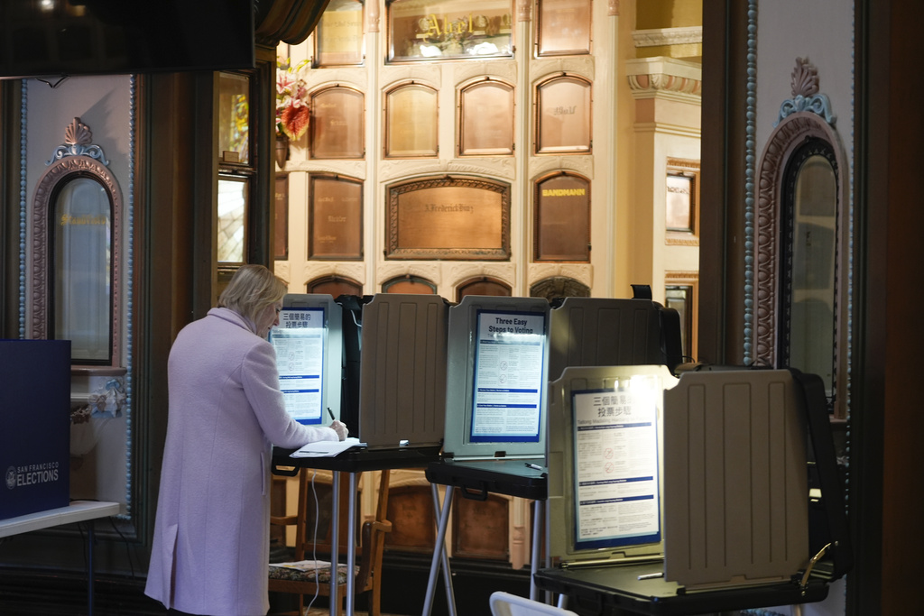 A person in a pink coat is voting at a booth in a room with ornate, historic architecture.