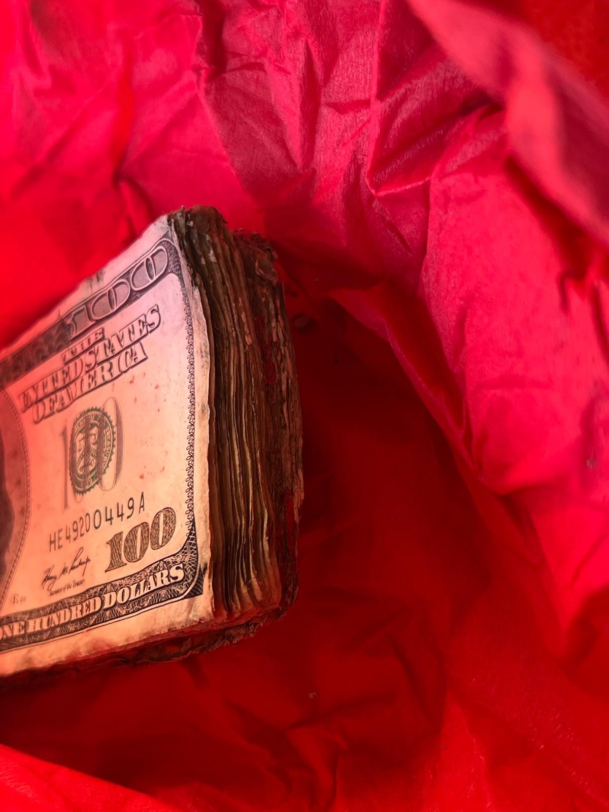 A wad of weathered $100 bills rests on crinkled red tissue.